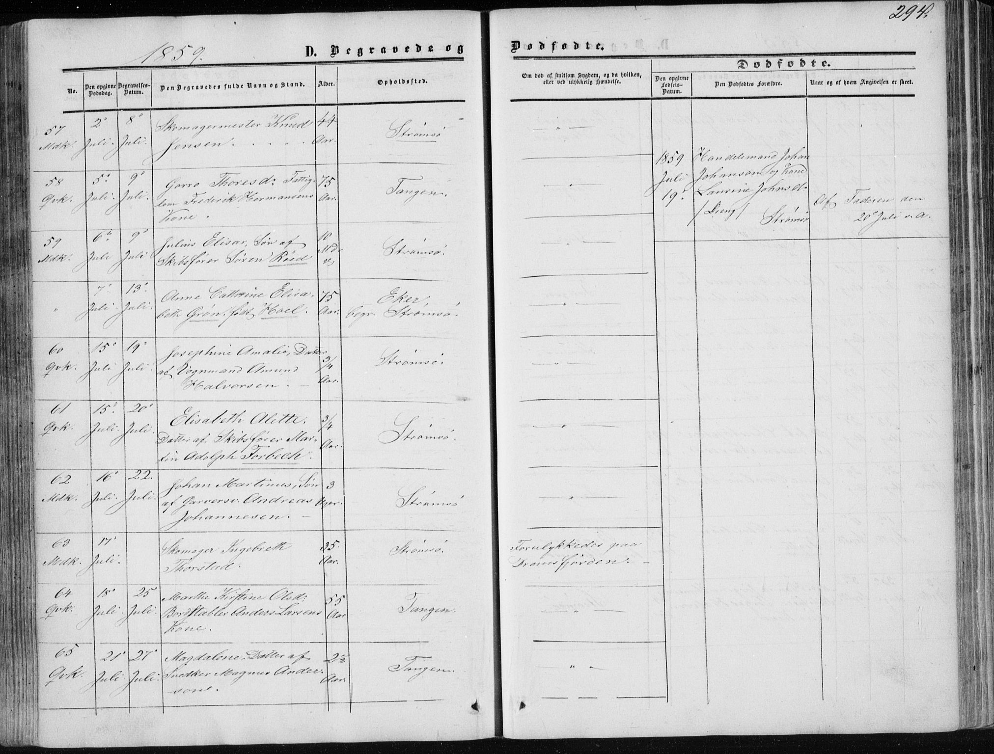 Strømsø kirkebøker, AV/SAKO-A-246/F/Fa/L0015: Parish register (official) no. I 15, 1859-1868, p. 294