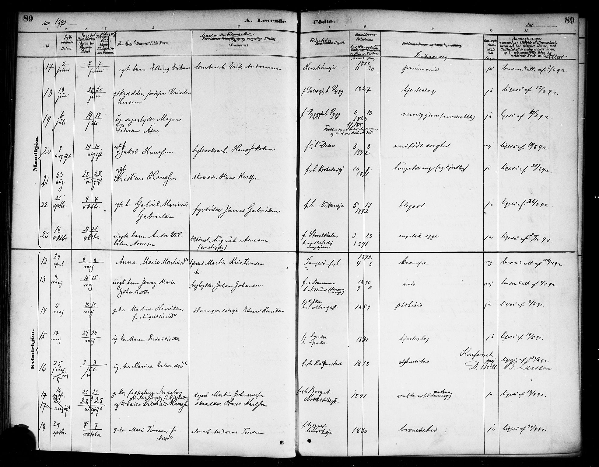 Nedre Eiker kirkebøker, AV/SAKO-A-612/F/Fa/L0003: Parish register (official) no. 3, 1885-1892, p. 89