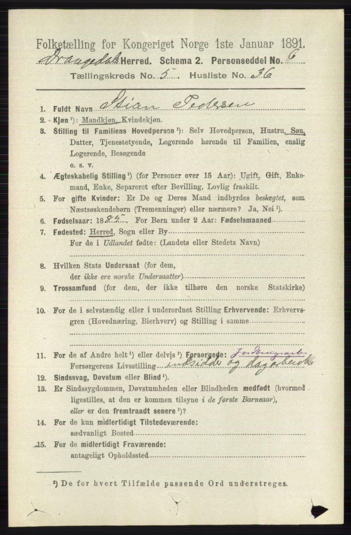 RA, 1891 census for 0817 Drangedal, 1891, p. 1916