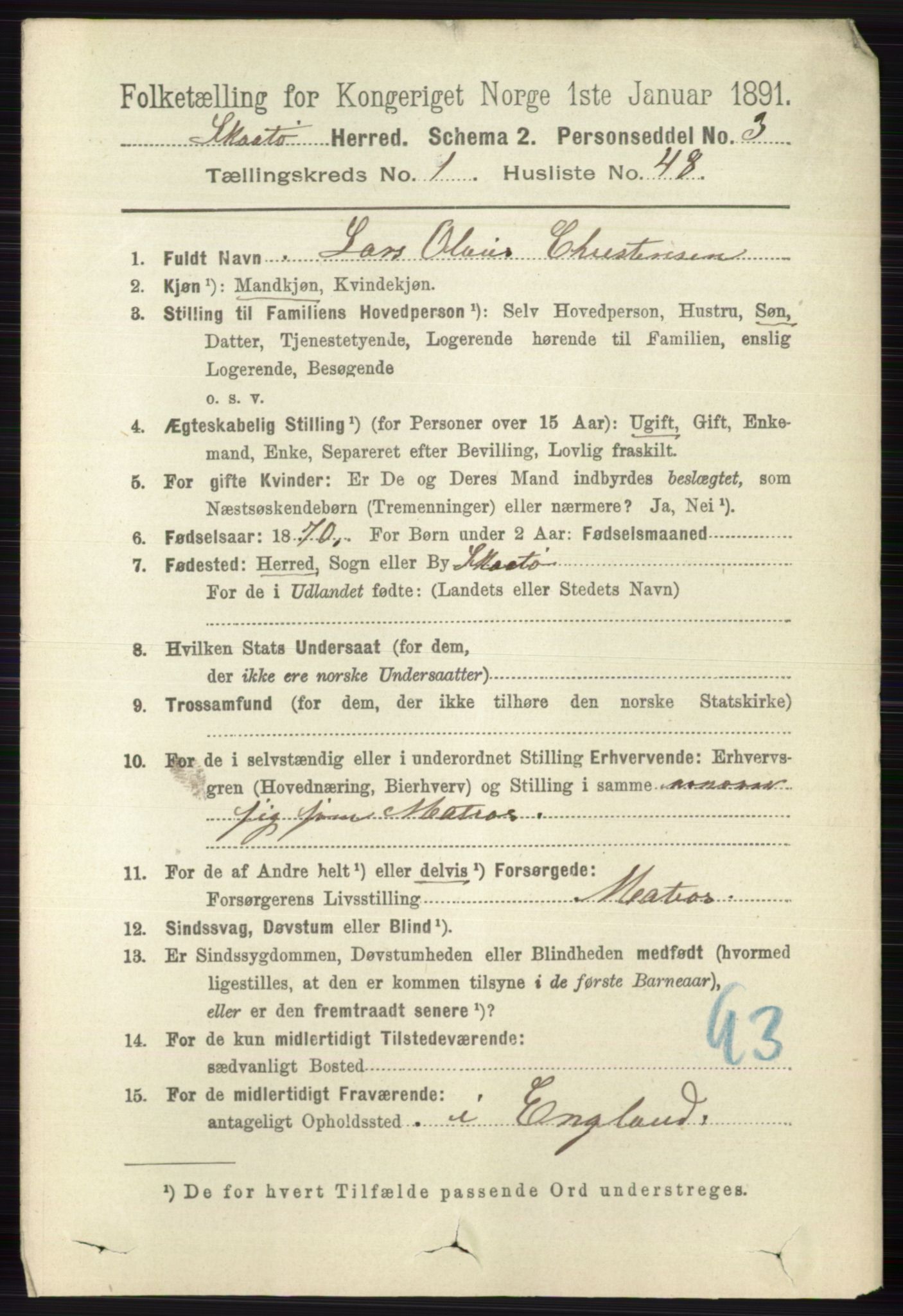 RA, 1891 census for 0815 Skåtøy, 1891, p. 371