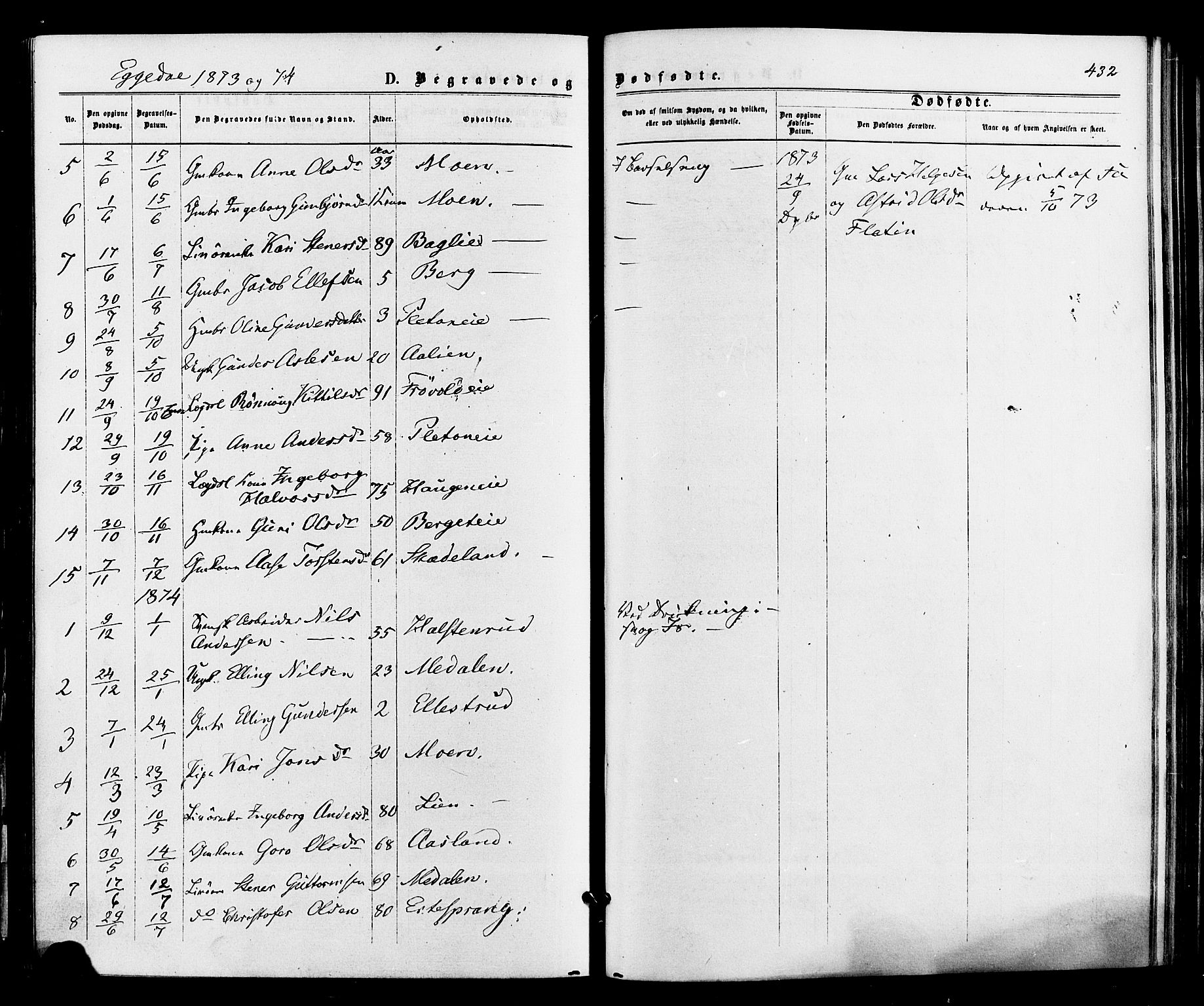 Sigdal kirkebøker, SAKO/A-245/F/Fa/L0010: Parish register (official) no. I 10 /3, 1872-1878, p. 432