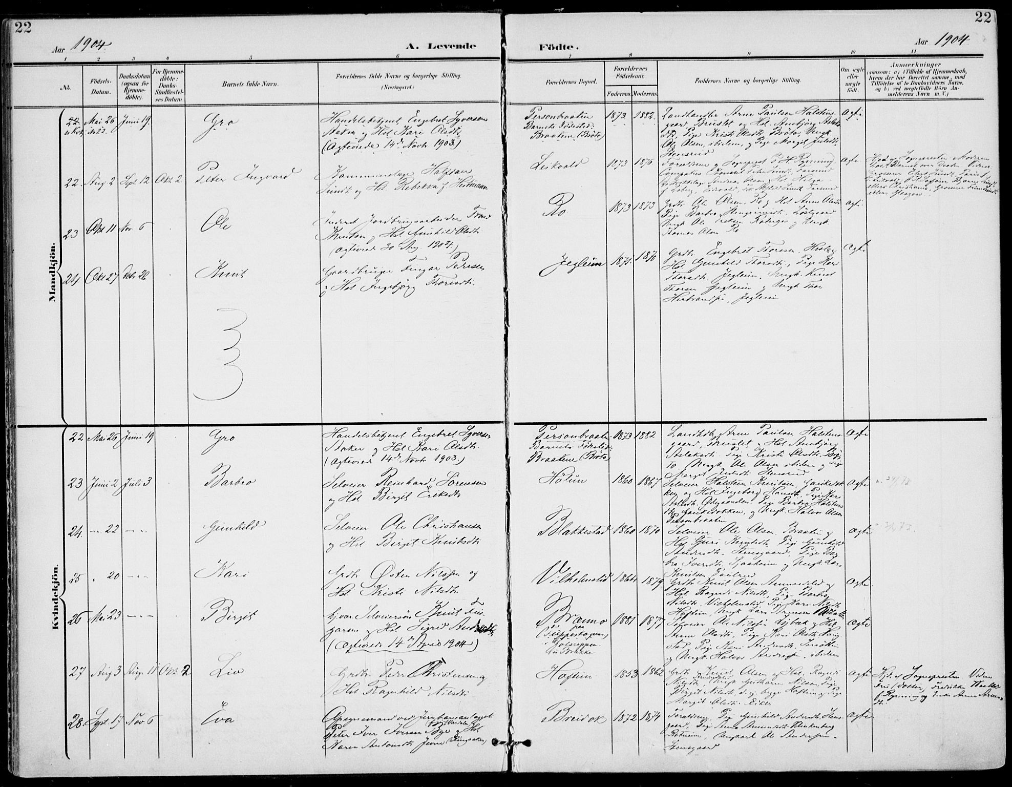 Gol kirkebøker, AV/SAKO-A-226/F/Fa/L0006: Parish register (official) no. I 6, 1901-1918, p. 22