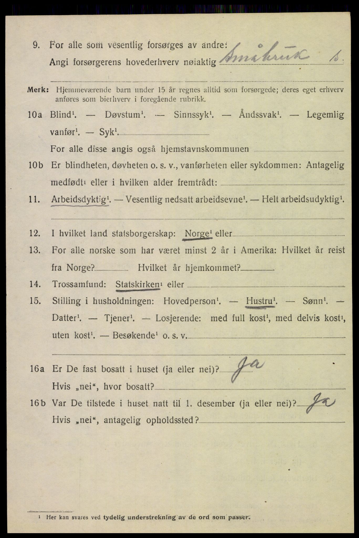 SAH, 1920 census for Ringsaker, 1920, p. 25063