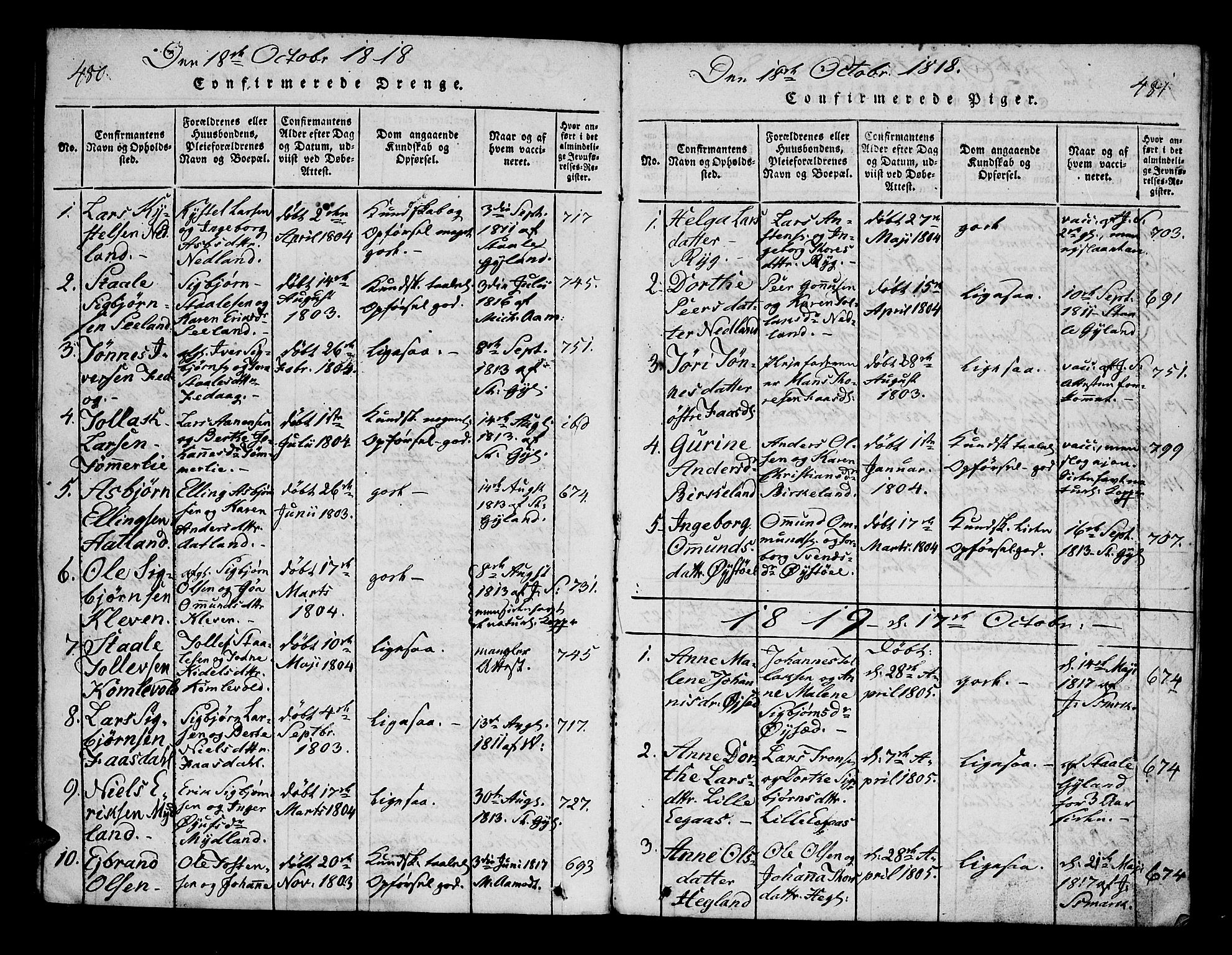 Bakke sokneprestkontor, SAK/1111-0002/F/Fa/Fab/L0001: Parish register (official) no. A 1, 1815-1835, p. 480-481