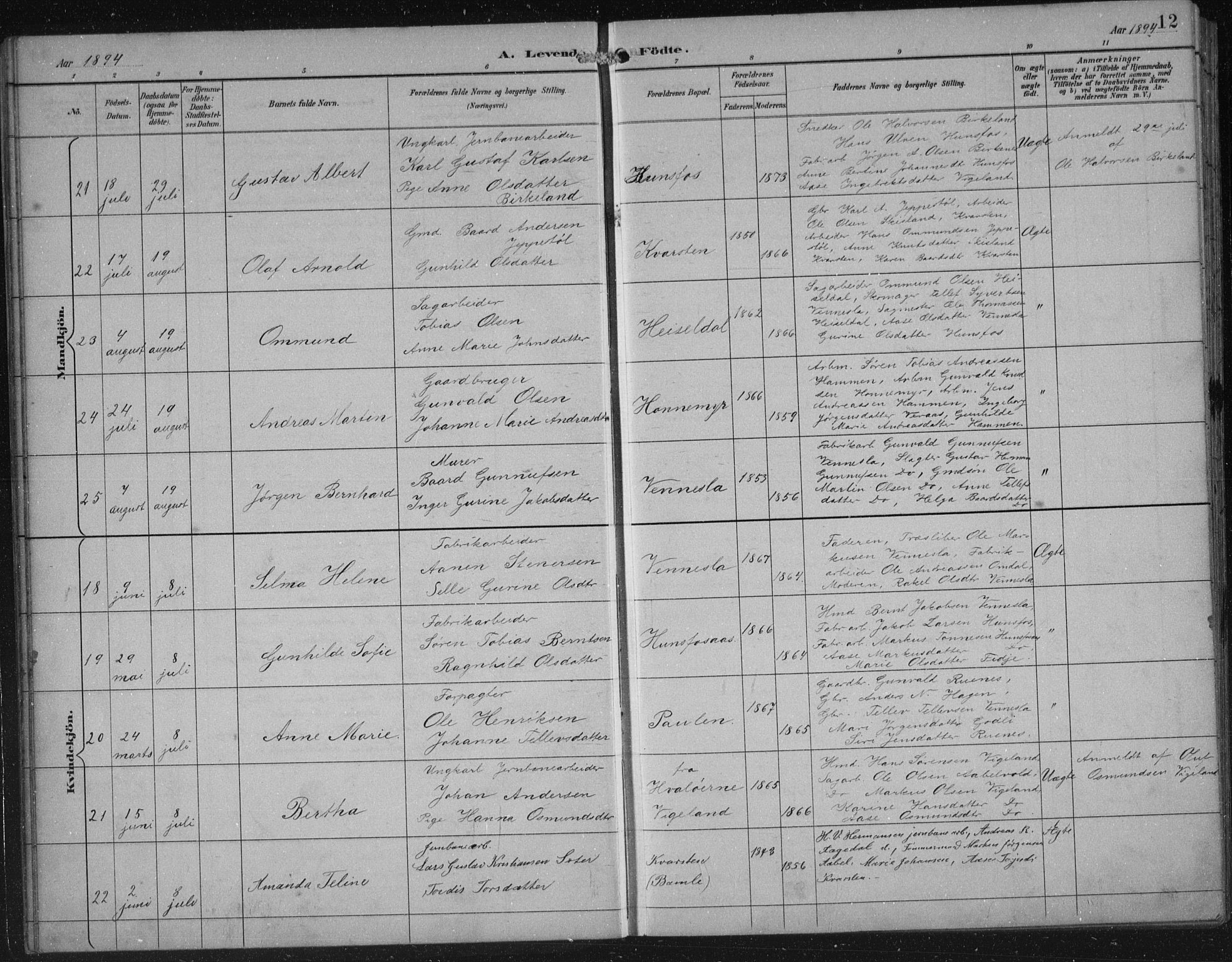Vennesla sokneprestkontor, AV/SAK-1111-0045/Fb/Fbb/L0004: Parish register (copy) no. B 4, 1893-1902, p. 12