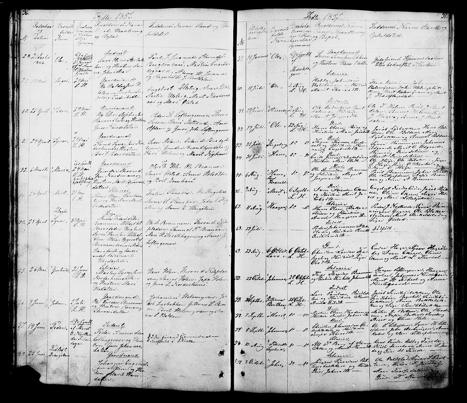 Lesja prestekontor, SAH/PREST-068/H/Ha/Hab/L0005: Parish register (copy) no. 5, 1850-1894, p. 36-37