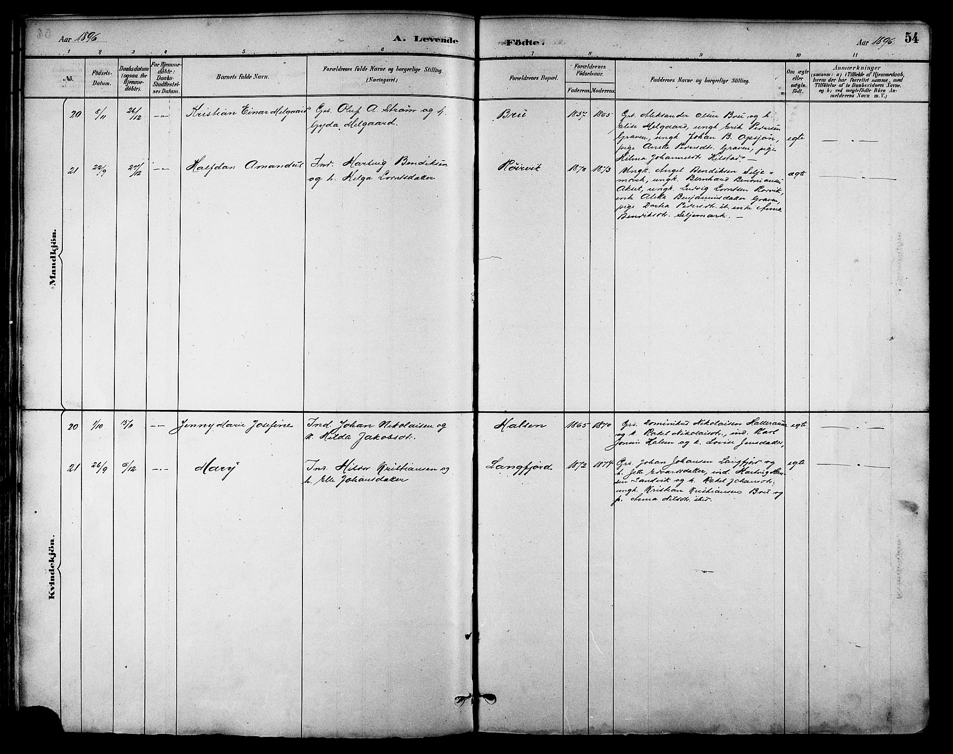 Ministerialprotokoller, klokkerbøker og fødselsregistre - Nordland, AV/SAT-A-1459/814/L0230: Parish register (copy) no. 814C03, 1884-1911, p. 54