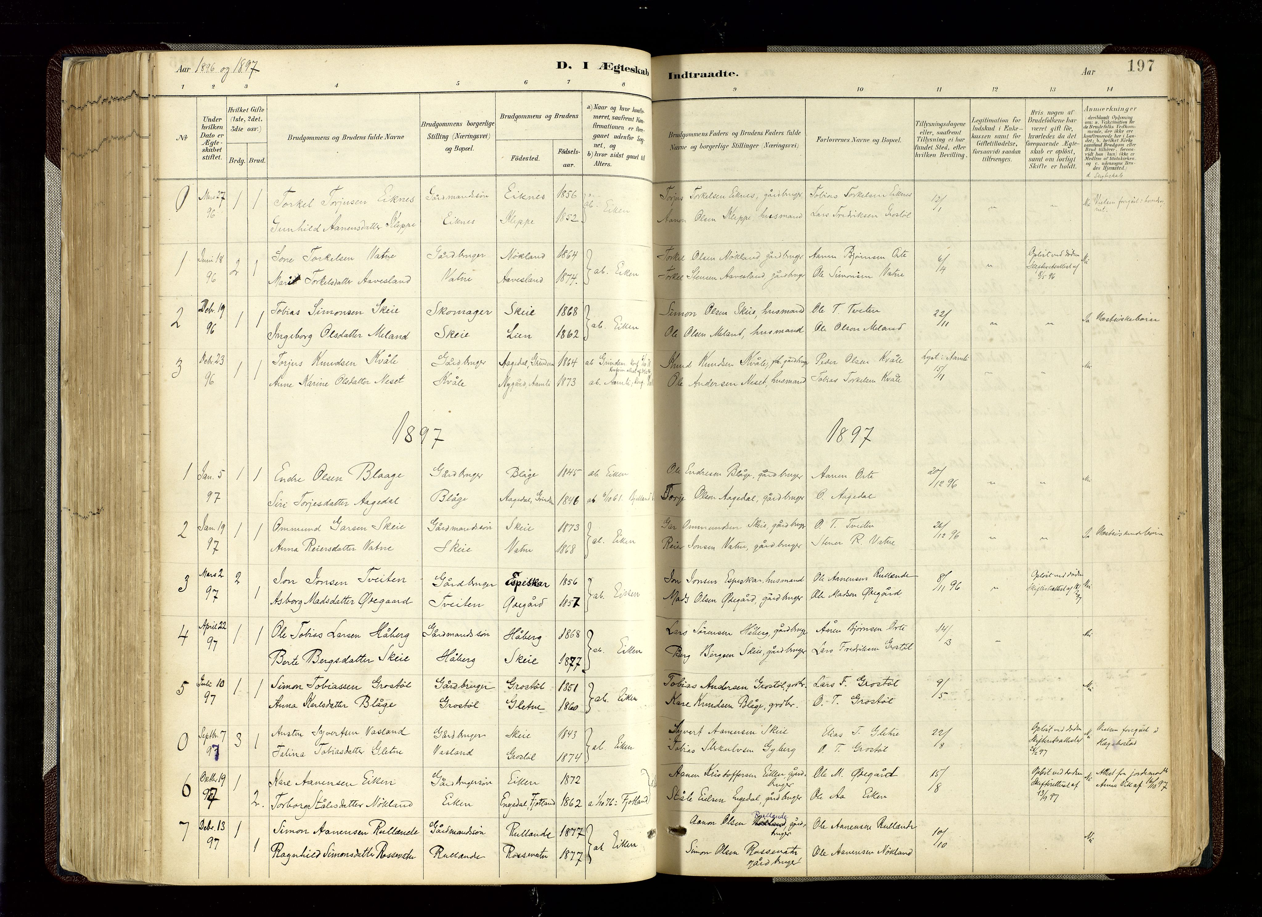 Hægebostad sokneprestkontor, SAK/1111-0024/F/Fa/Fab/L0004: Parish register (official) no. A 4, 1887-1929, p. 197