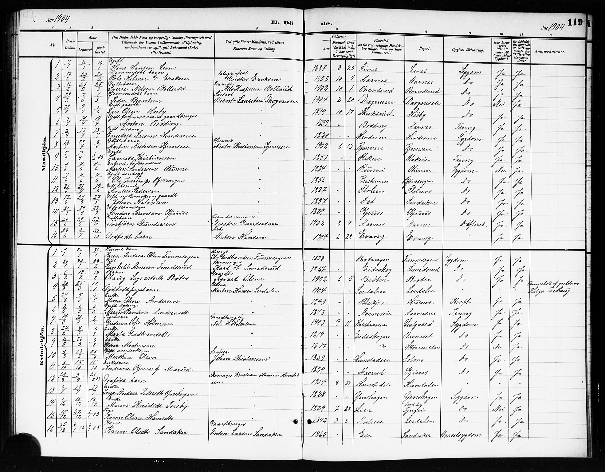 Nes prestekontor Kirkebøker, AV/SAO-A-10410/G/Gc/L0001: Parish register (copy) no. III 1, 1901-1917, p. 119