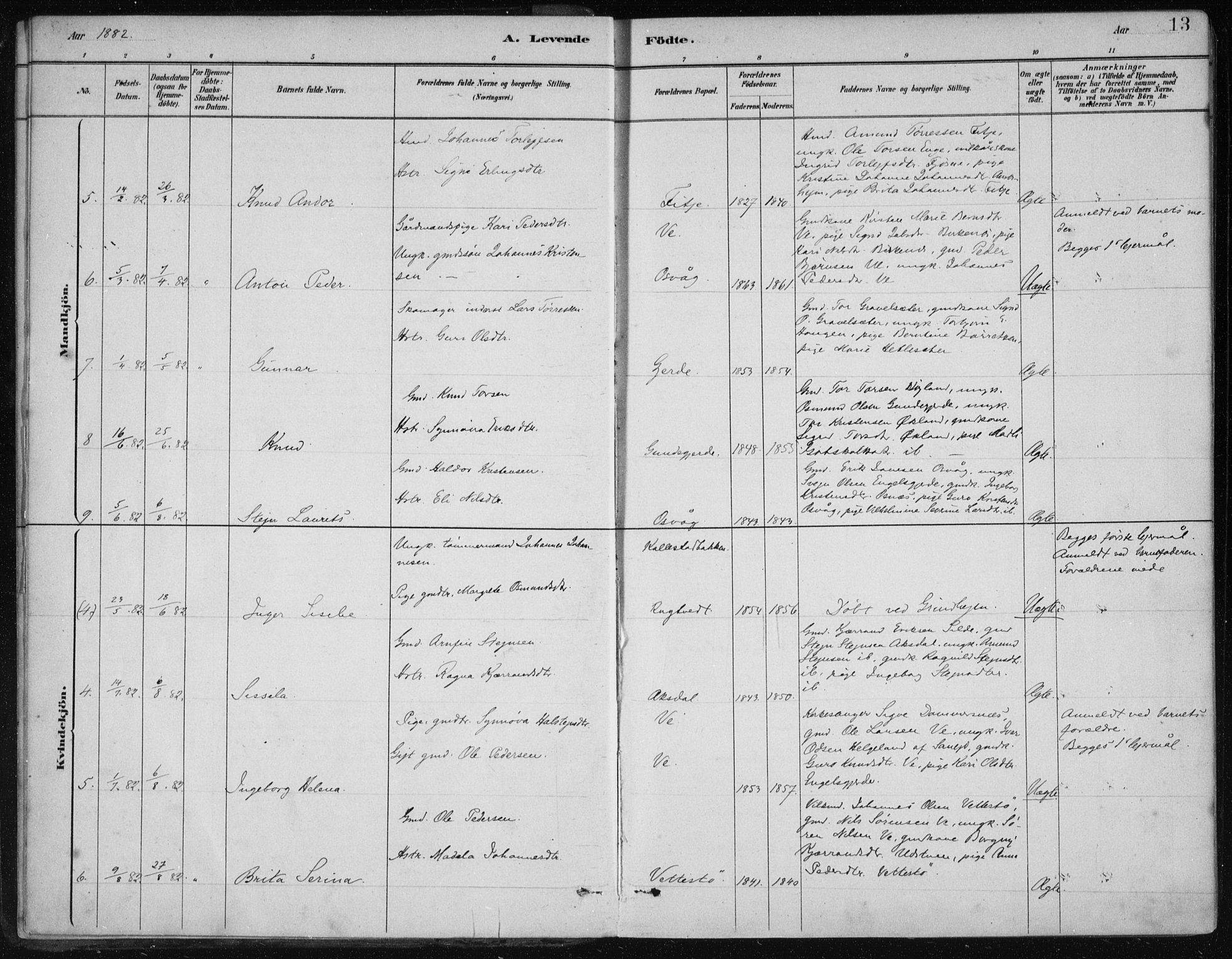 Etne sokneprestembete, SAB/A-75001/H/Haa: Parish register (official) no. C  1, 1879-1919, p. 13