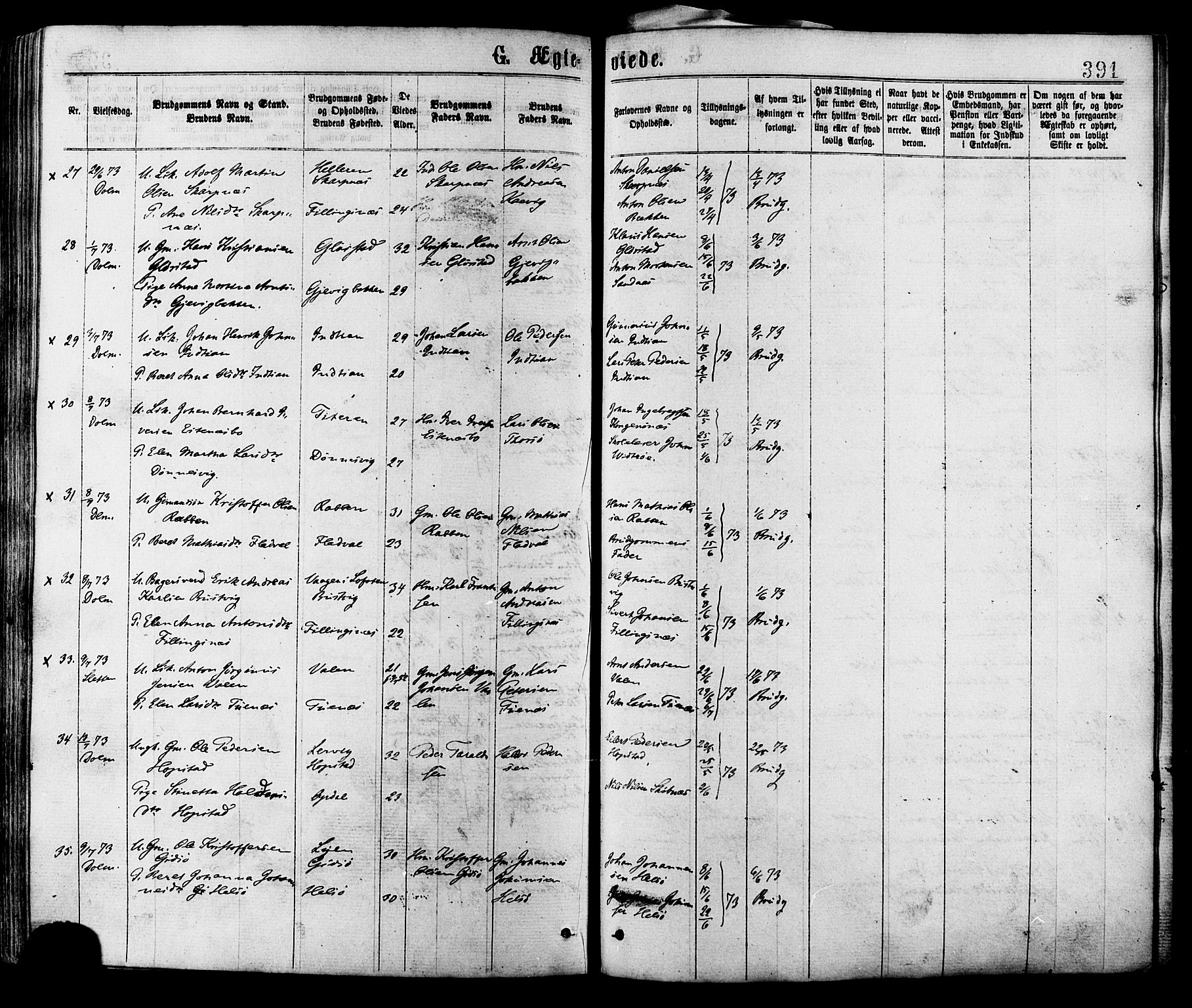 Ministerialprotokoller, klokkerbøker og fødselsregistre - Sør-Trøndelag, AV/SAT-A-1456/634/L0532: Parish register (official) no. 634A08, 1871-1881, p. 391
