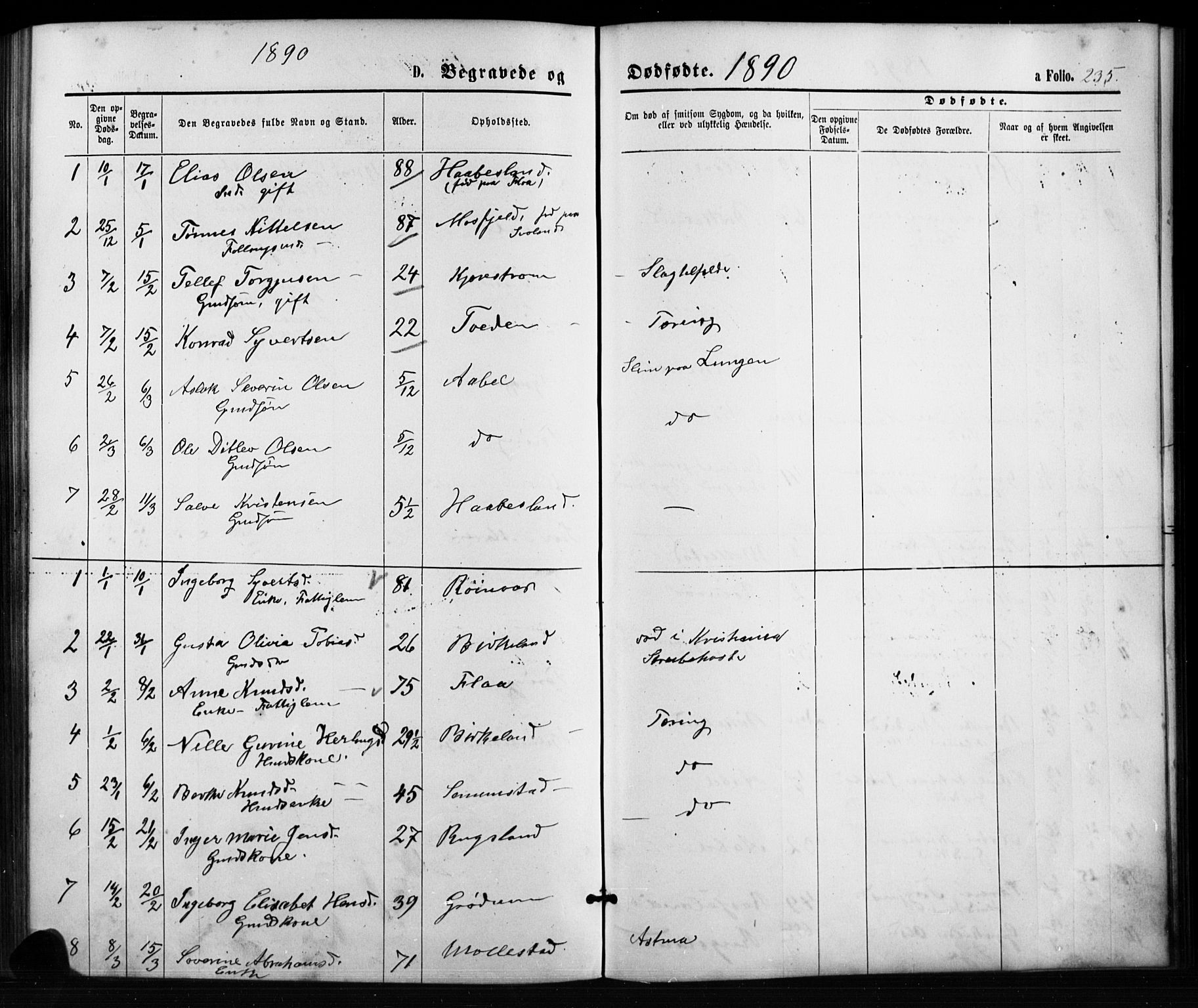 Birkenes sokneprestkontor, SAK/1111-0004/F/Fb/L0003: Parish register (copy) no. B 3, 1876-1892, p. 235