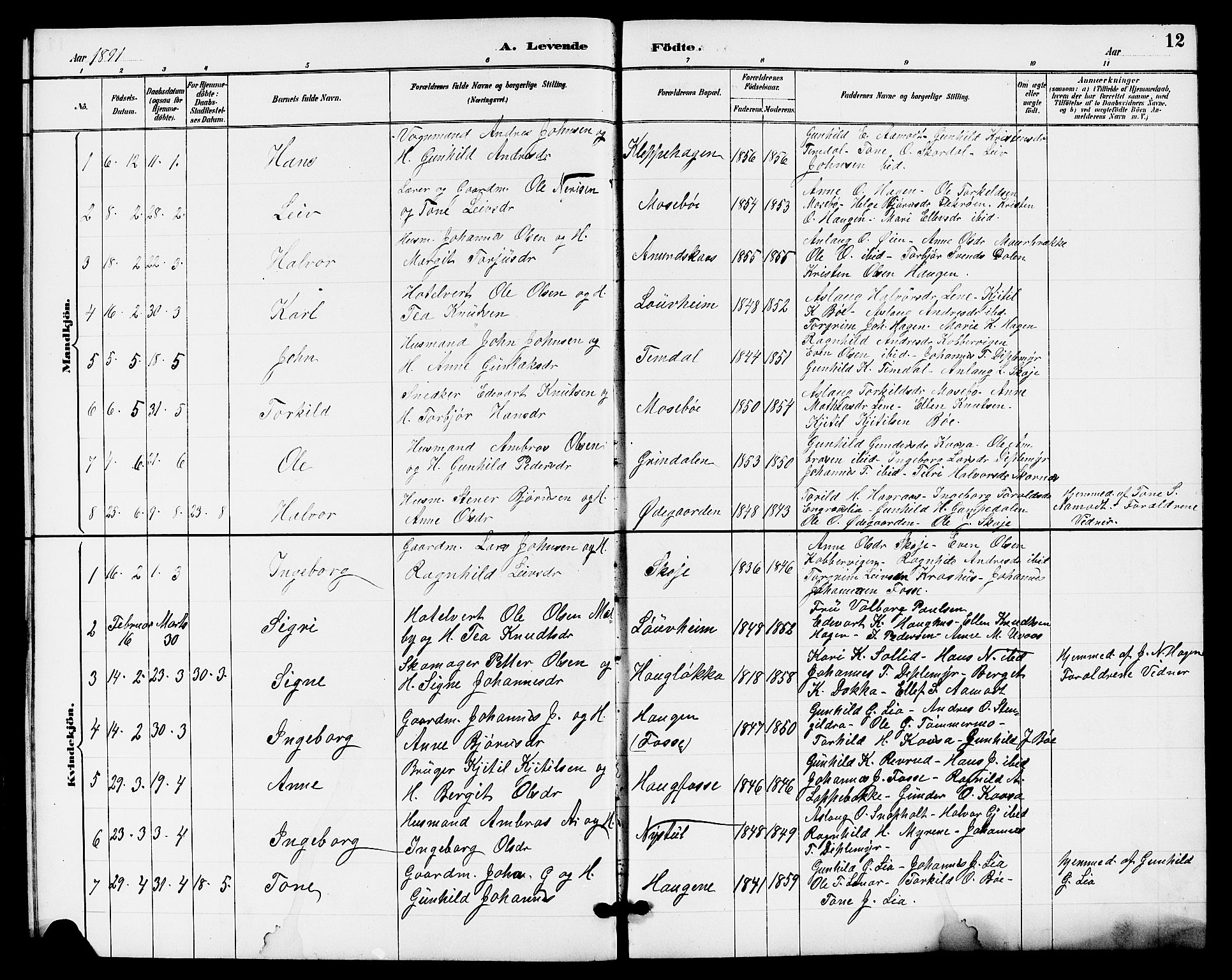 Hjartdal kirkebøker, SAKO/A-270/G/Gb/L0003: Parish register (copy) no. II 3, 1884-1899, p. 12