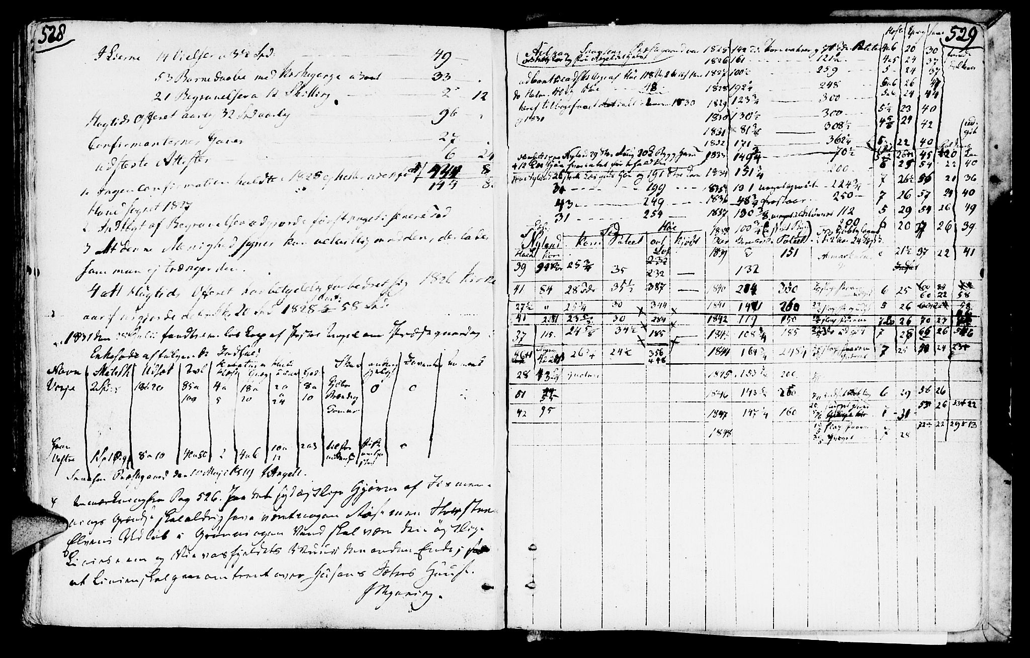 Ministerialprotokoller, klokkerbøker og fødselsregistre - Nord-Trøndelag, AV/SAT-A-1458/749/L0468: Parish register (official) no. 749A02, 1787-1817, p. 528-529