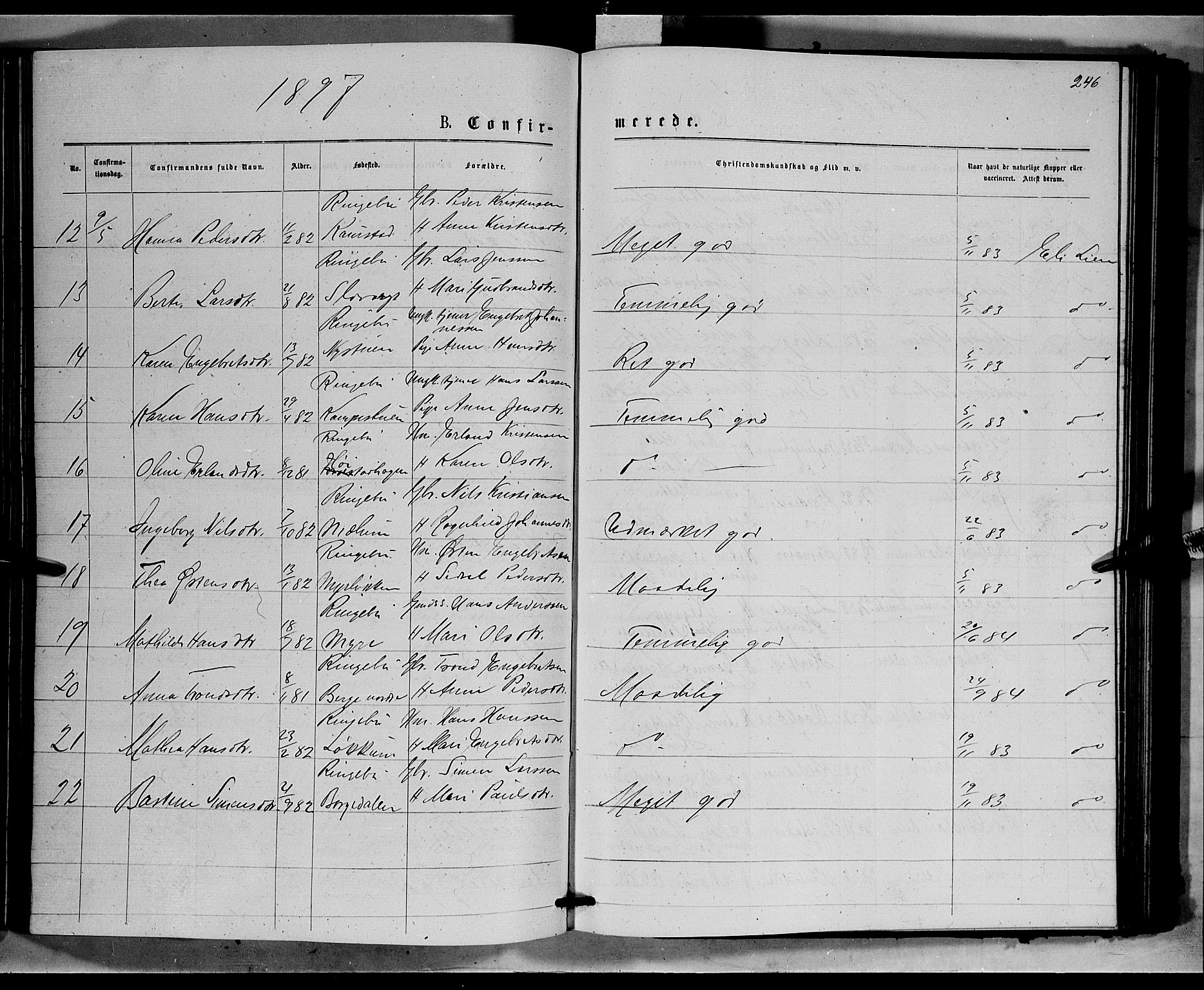 Ringebu prestekontor, SAH/PREST-082/H/Ha/Hab/L0006: Parish register (copy) no. 6, 1880-1898, p. 246