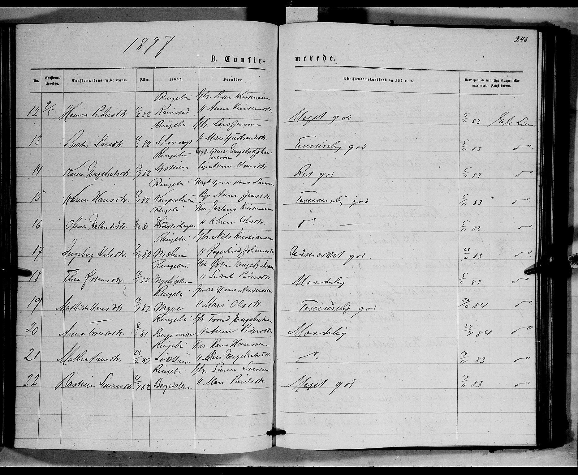 Ringebu prestekontor, AV/SAH-PREST-082/H/Ha/Hab/L0006: Parish register (copy) no. 6, 1880-1898, p. 246