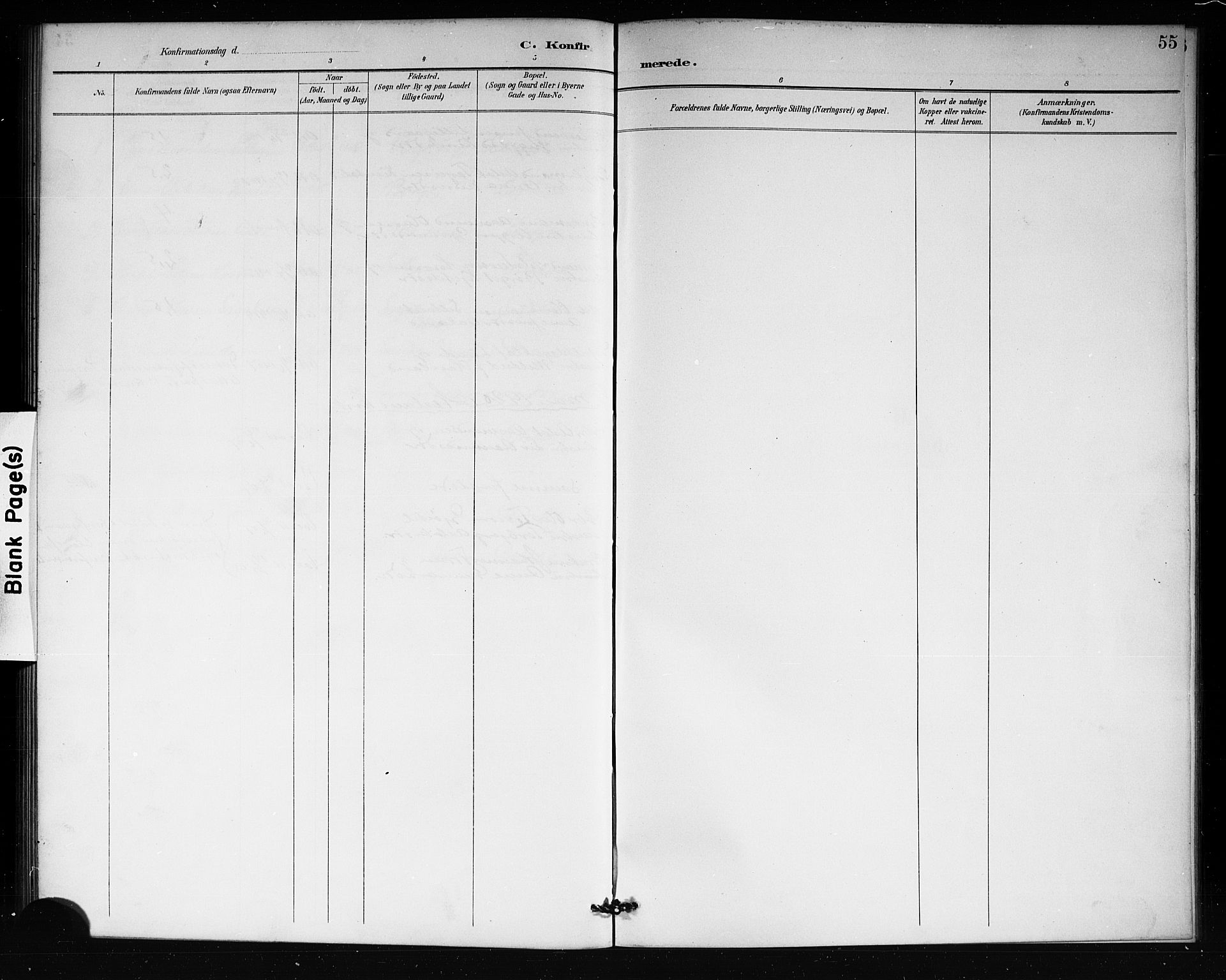 Lårdal kirkebøker, SAKO/A-284/G/Gb/L0003: Parish register (copy) no. II 3, 1889-1920, p. 55