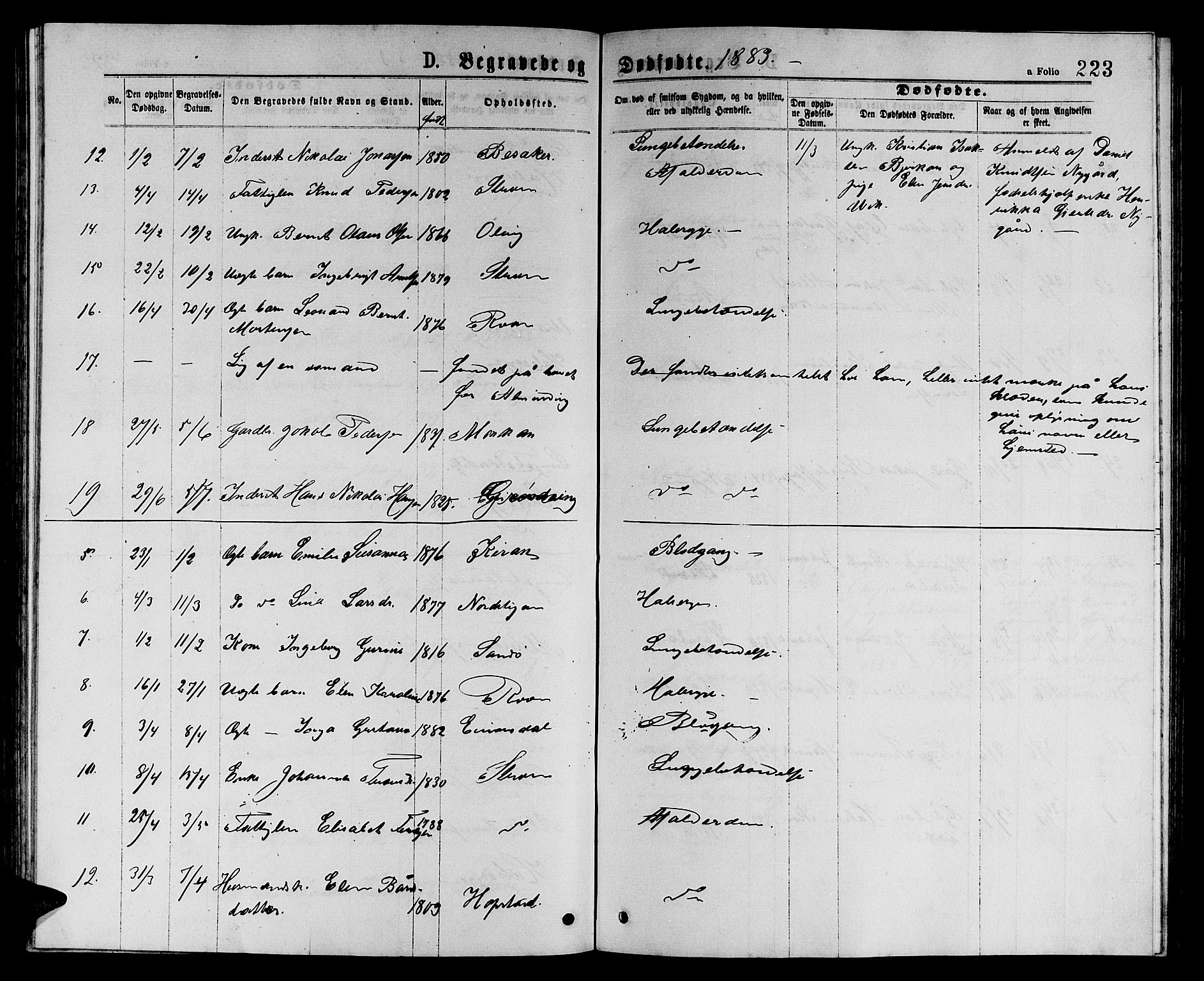 Ministerialprotokoller, klokkerbøker og fødselsregistre - Sør-Trøndelag, SAT/A-1456/657/L0715: Parish register (copy) no. 657C02, 1873-1888, p. 223