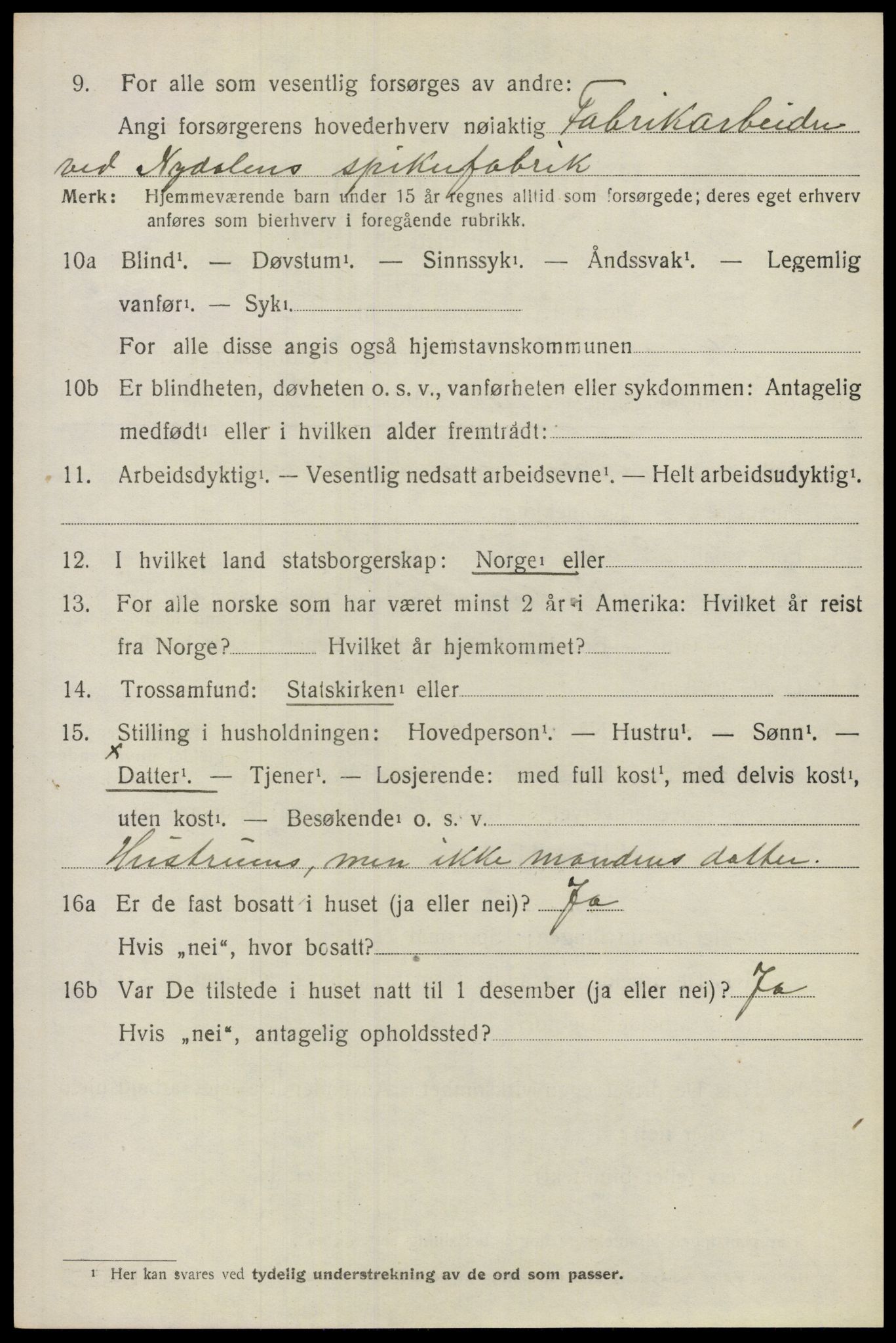 SAO, 1920 census for Nes, 1920, p. 12381