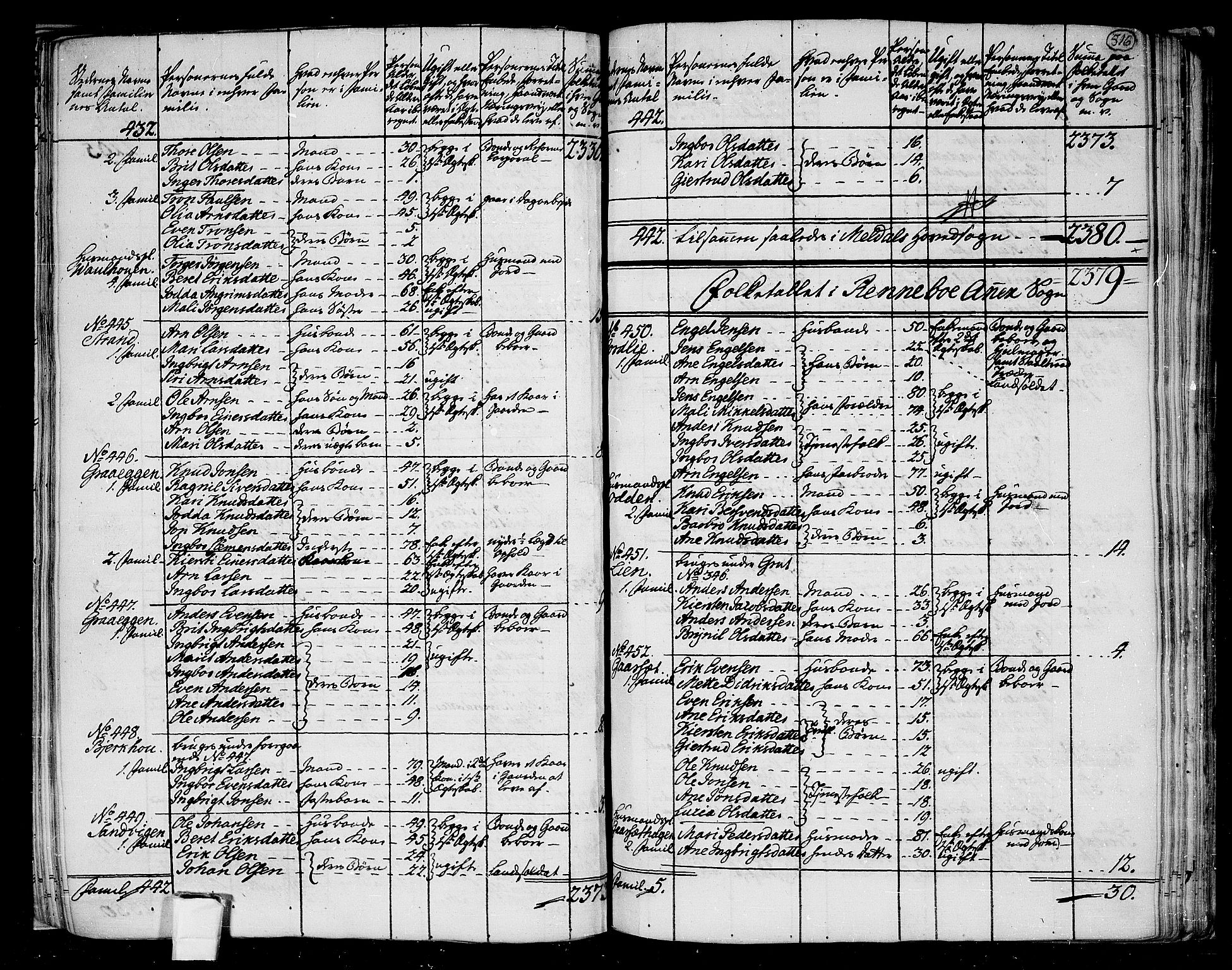 RA, 1801 census for 1636P Meldal, 1801, p. 515b-516a