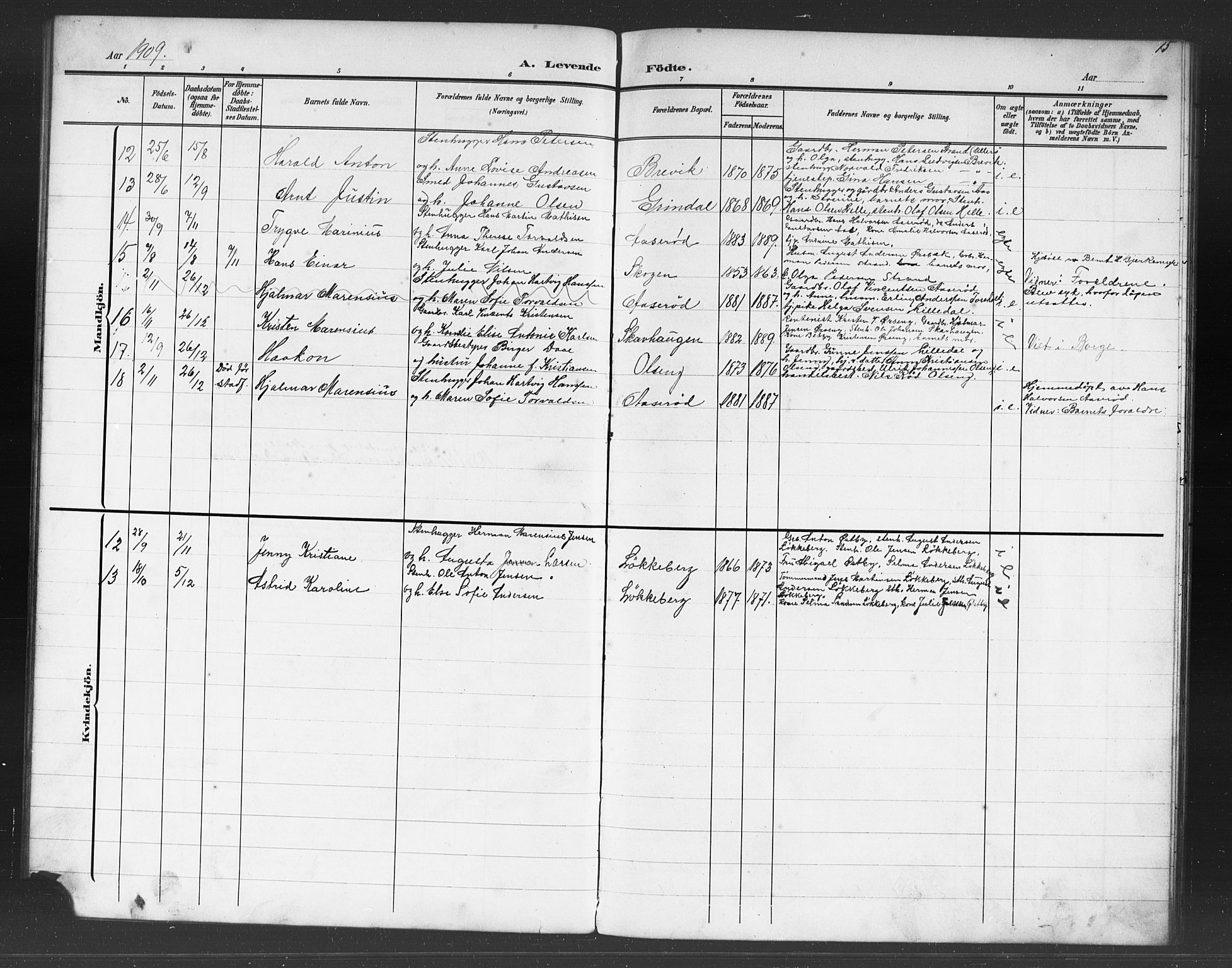 Skjeberg prestekontor Kirkebøker, SAO/A-10923/G/Gb/L0001: Parish register (copy) no. II 1, 1901-1919, p. 15