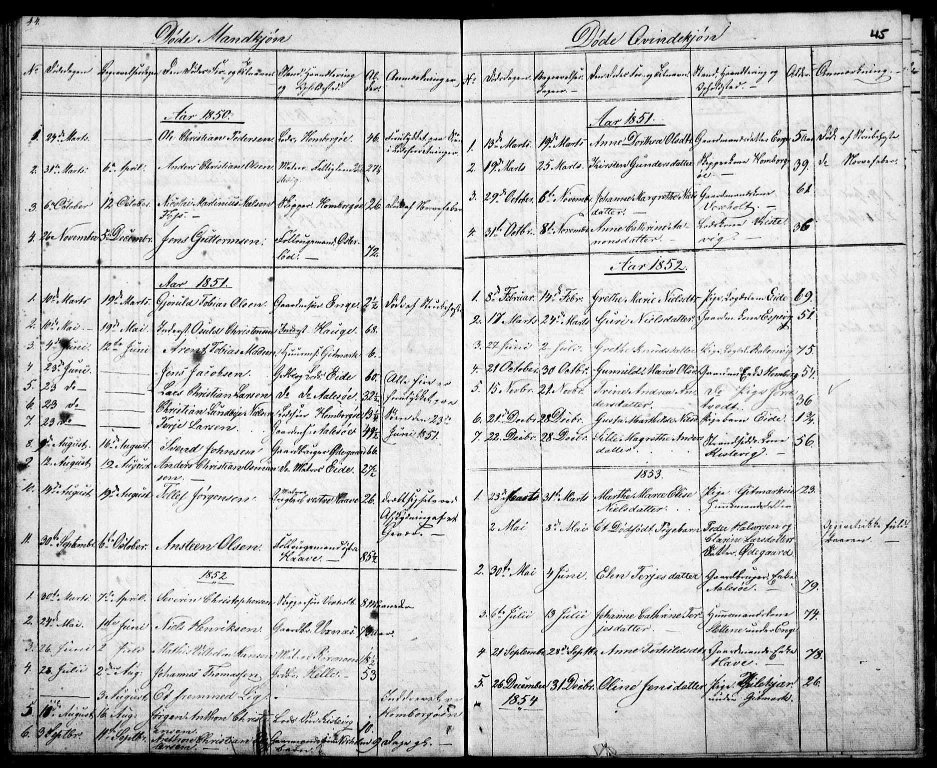 Hommedal sokneprestkontor, AV/SAK-1111-0023/F/Fb/Fba/L0002: Parish register (copy) no. B 2, 1841-1863, p. 45