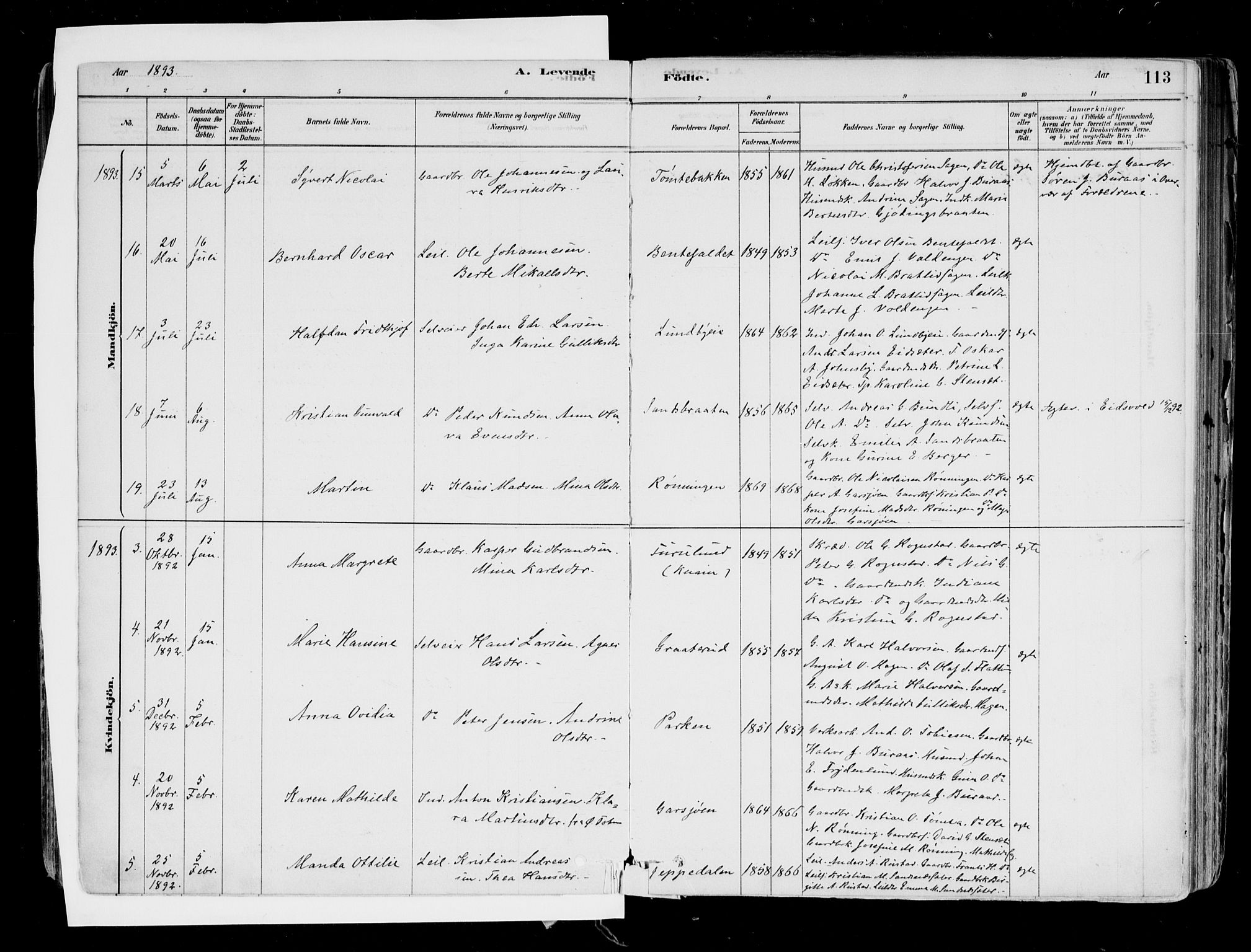 Hurdal prestekontor Kirkebøker, AV/SAO-A-10889/F/Fa/L0007: Parish register (official) no. I 7, 1878-1906, p. 113