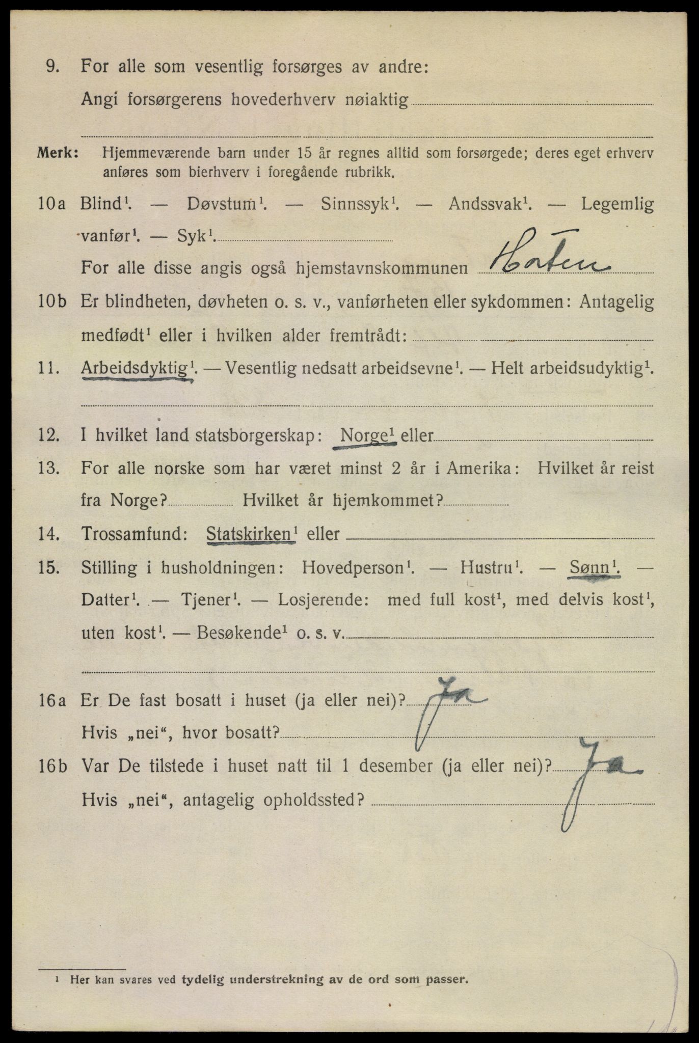 SAKO, 1920 census for Horten, 1920, p. 19308