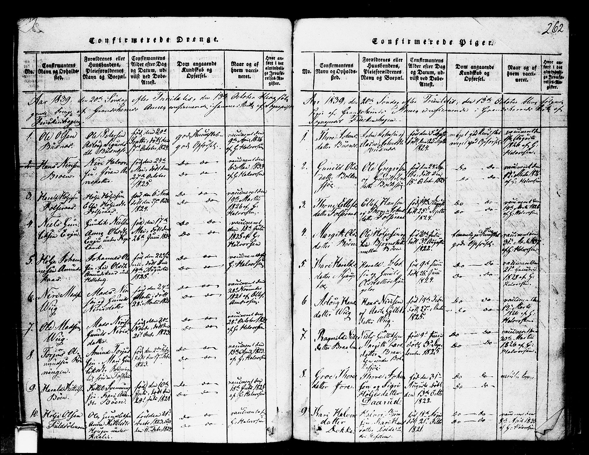 Gransherad kirkebøker, SAKO/A-267/F/Fa/L0001: Parish register (official) no. I 1, 1815-1843, p. 262