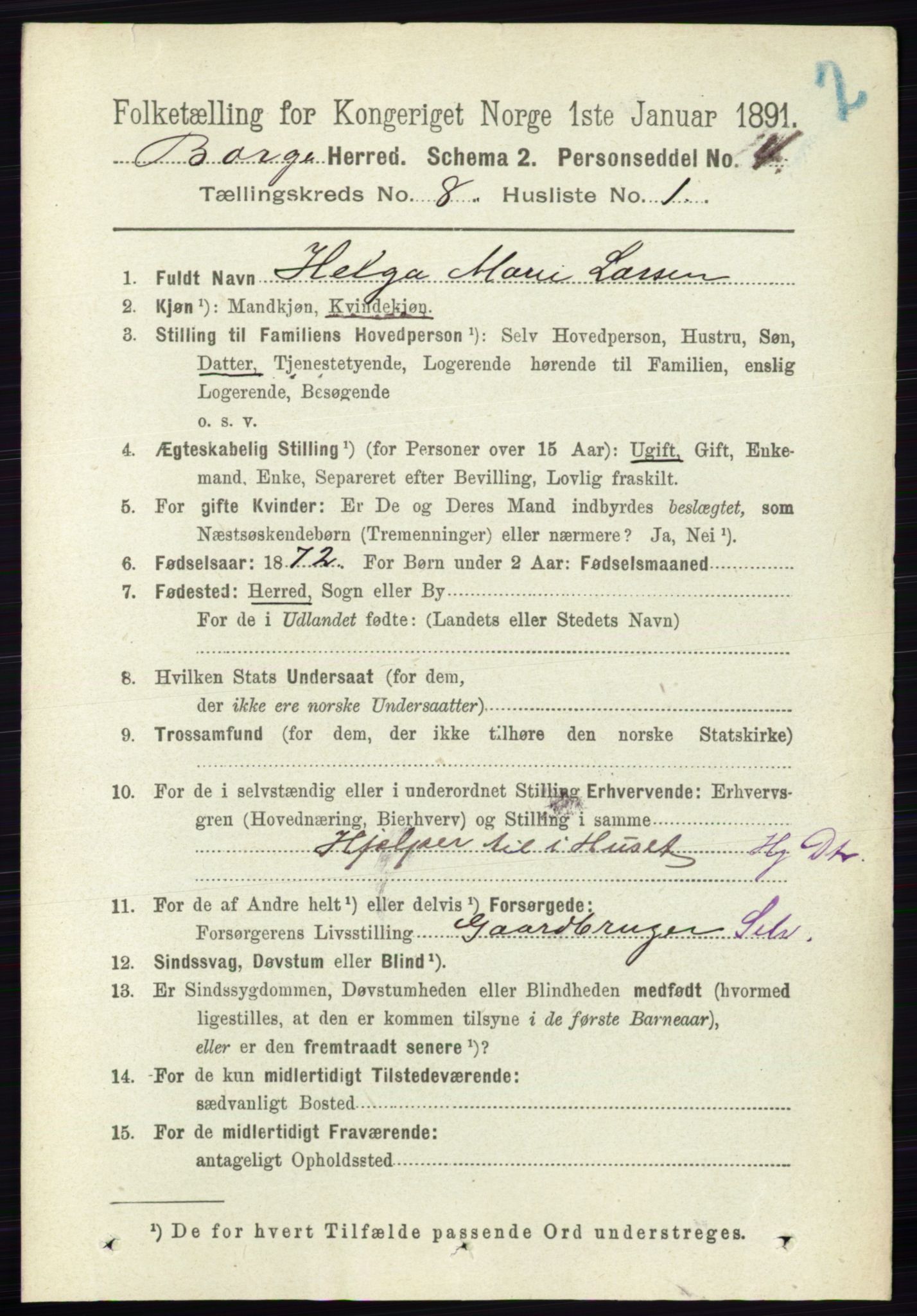 RA, 1891 census for 0113 Borge, 1891, p. 5132