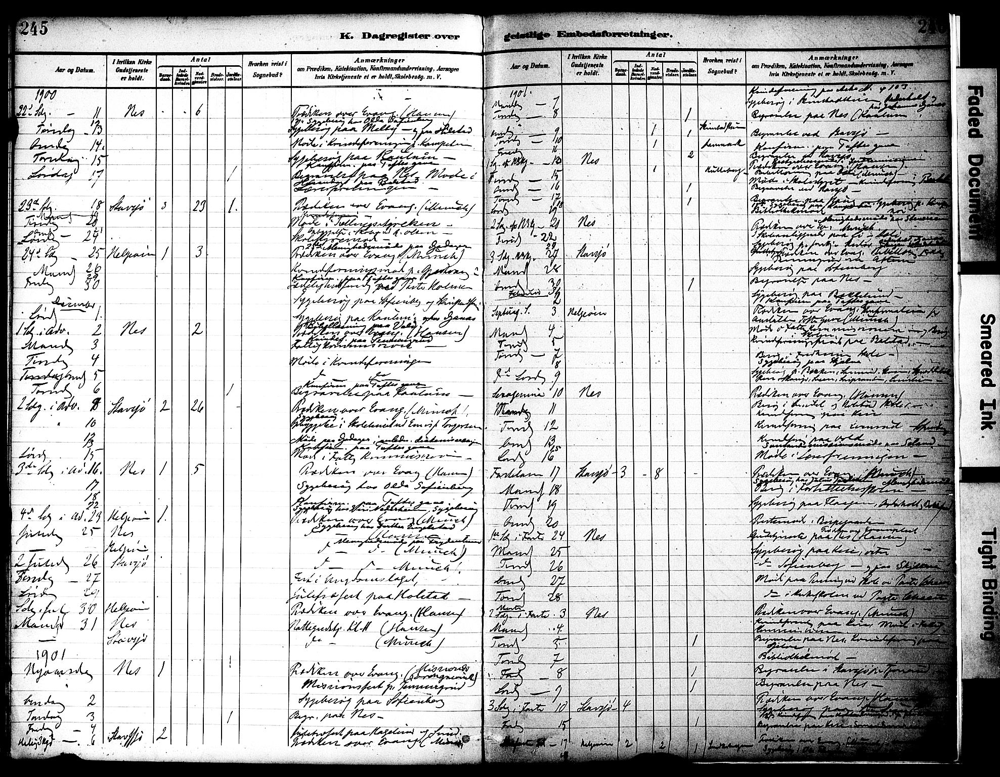 Nes prestekontor, Hedmark, AV/SAH-PREST-020/K/Ka/L0010: Parish register (official) no. 10, 1887-1905, p. 245-246
