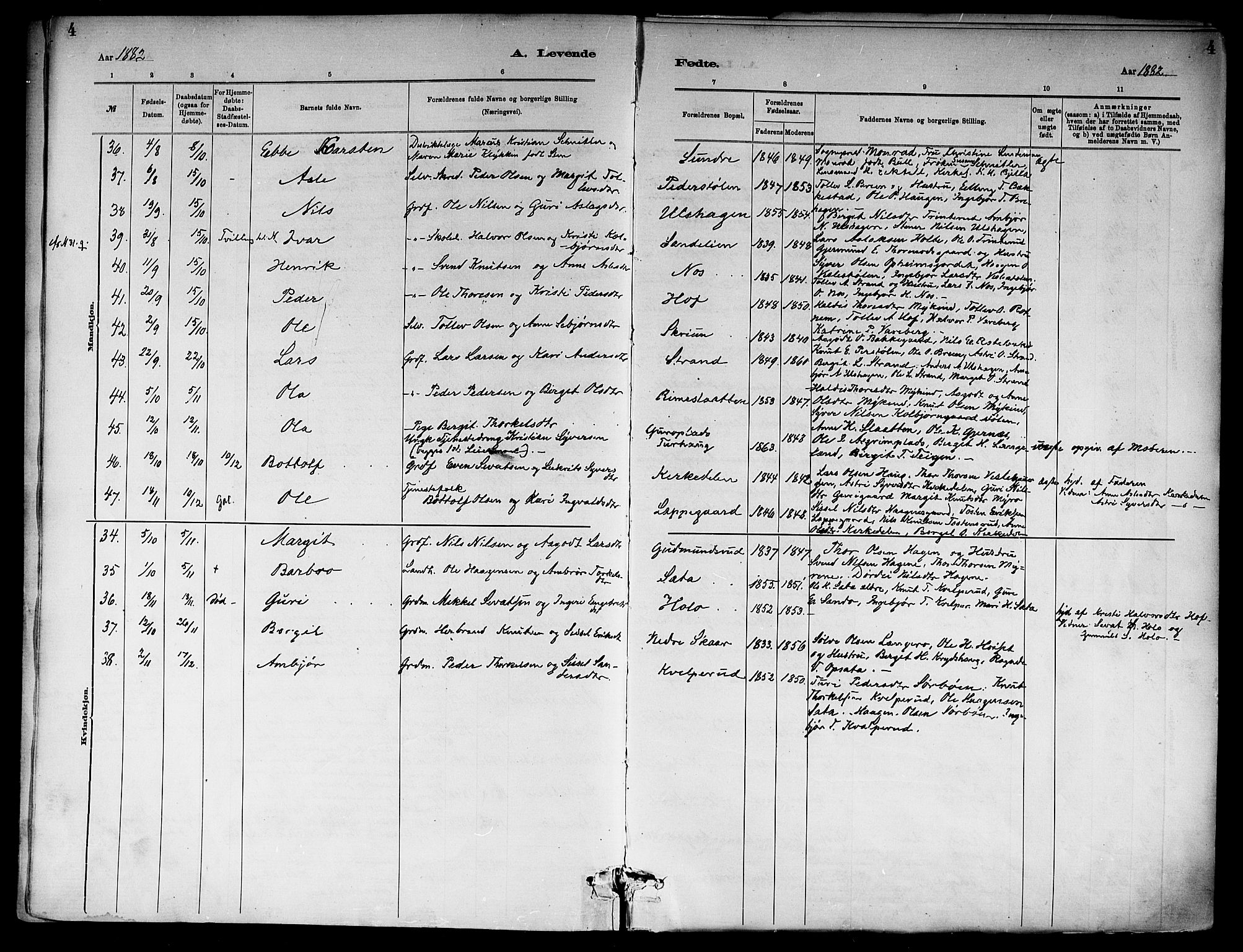 Ål kirkebøker, AV/SAKO-A-249/F/Fa/L0008: Parish register (official) no. I 8, 1882-1896, p. 4