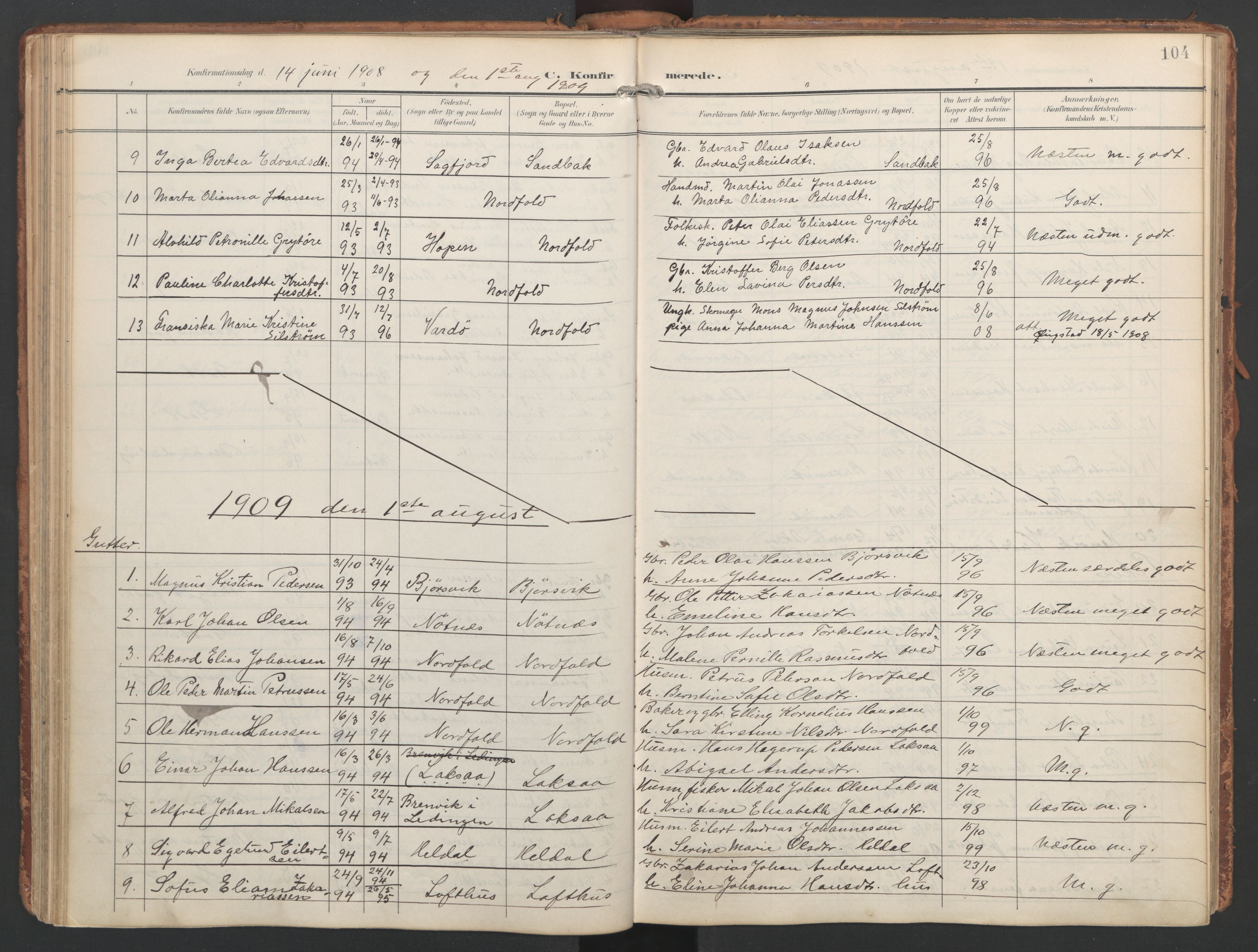 Ministerialprotokoller, klokkerbøker og fødselsregistre - Nordland, AV/SAT-A-1459/858/L0832: Parish register (official) no. 858A02, 1902-1915, p. 104