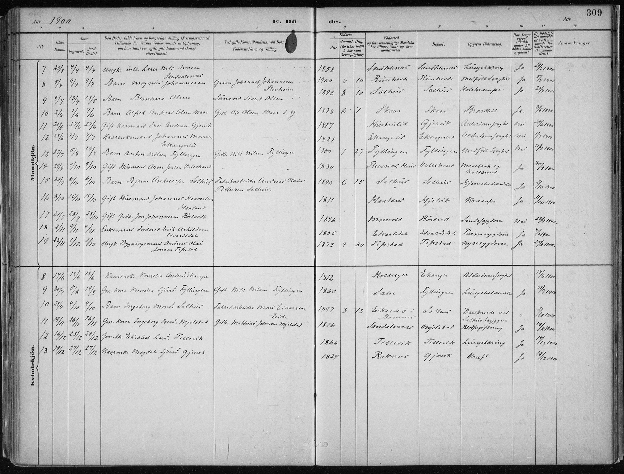 Hamre sokneprestembete, SAB/A-75501/H/Ha/Haa/Haab/L0001: Parish register (official) no. B  1, 1882-1905, p. 309