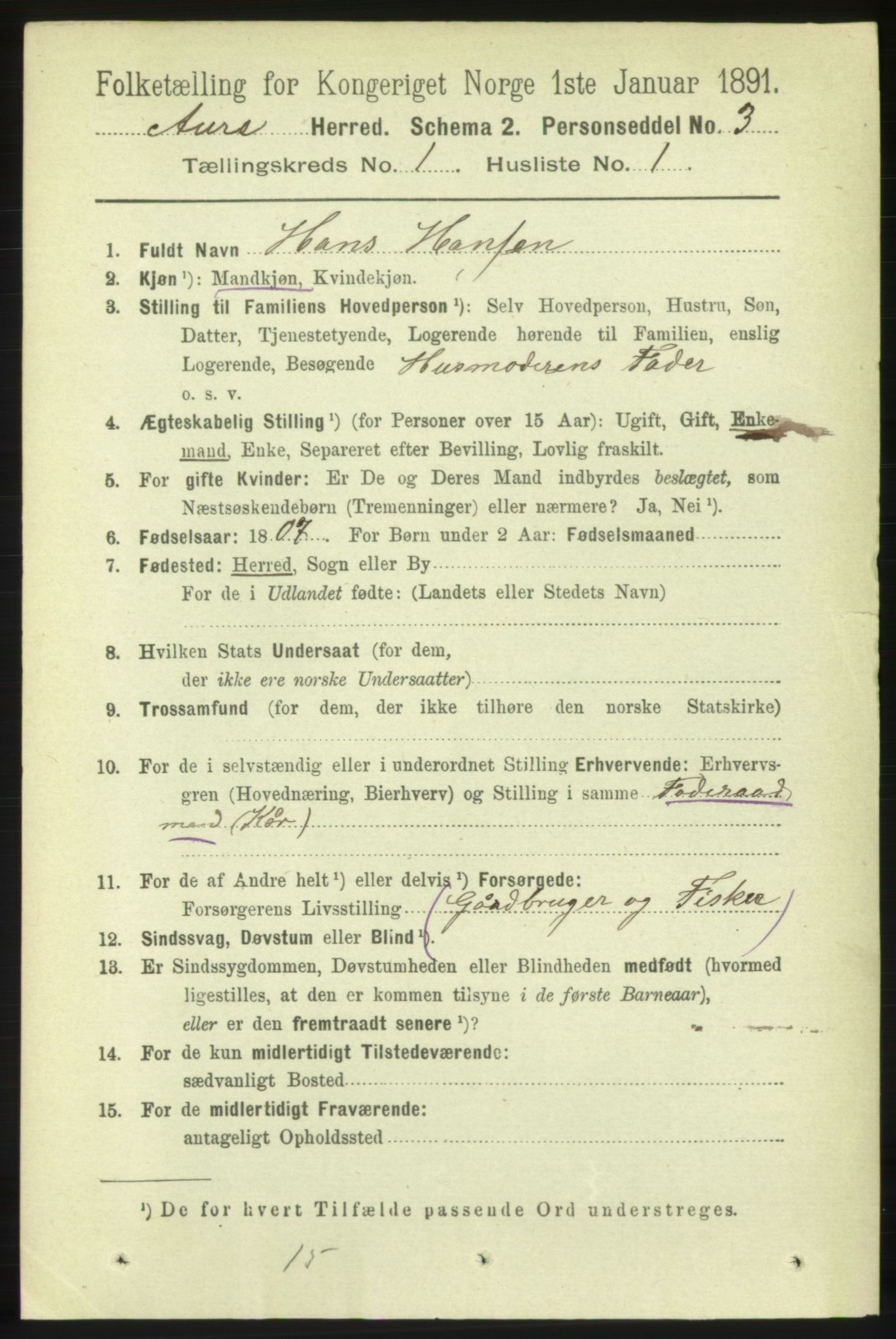 RA, 1891 census for 1569 Aure, 1891, p. 126