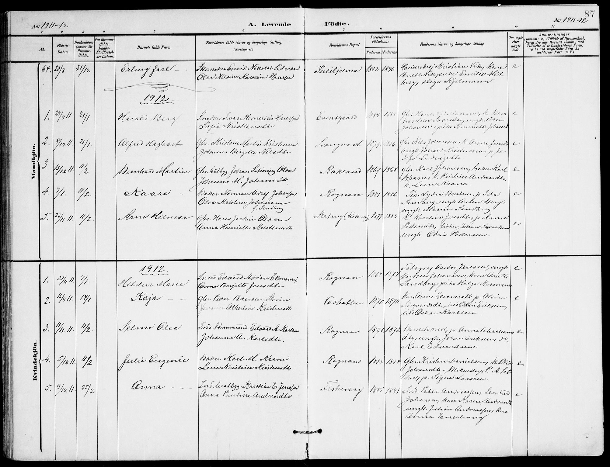 Ministerialprotokoller, klokkerbøker og fødselsregistre - Nordland, AV/SAT-A-1459/847/L0672: Parish register (official) no. 847A12, 1902-1919, p. 87