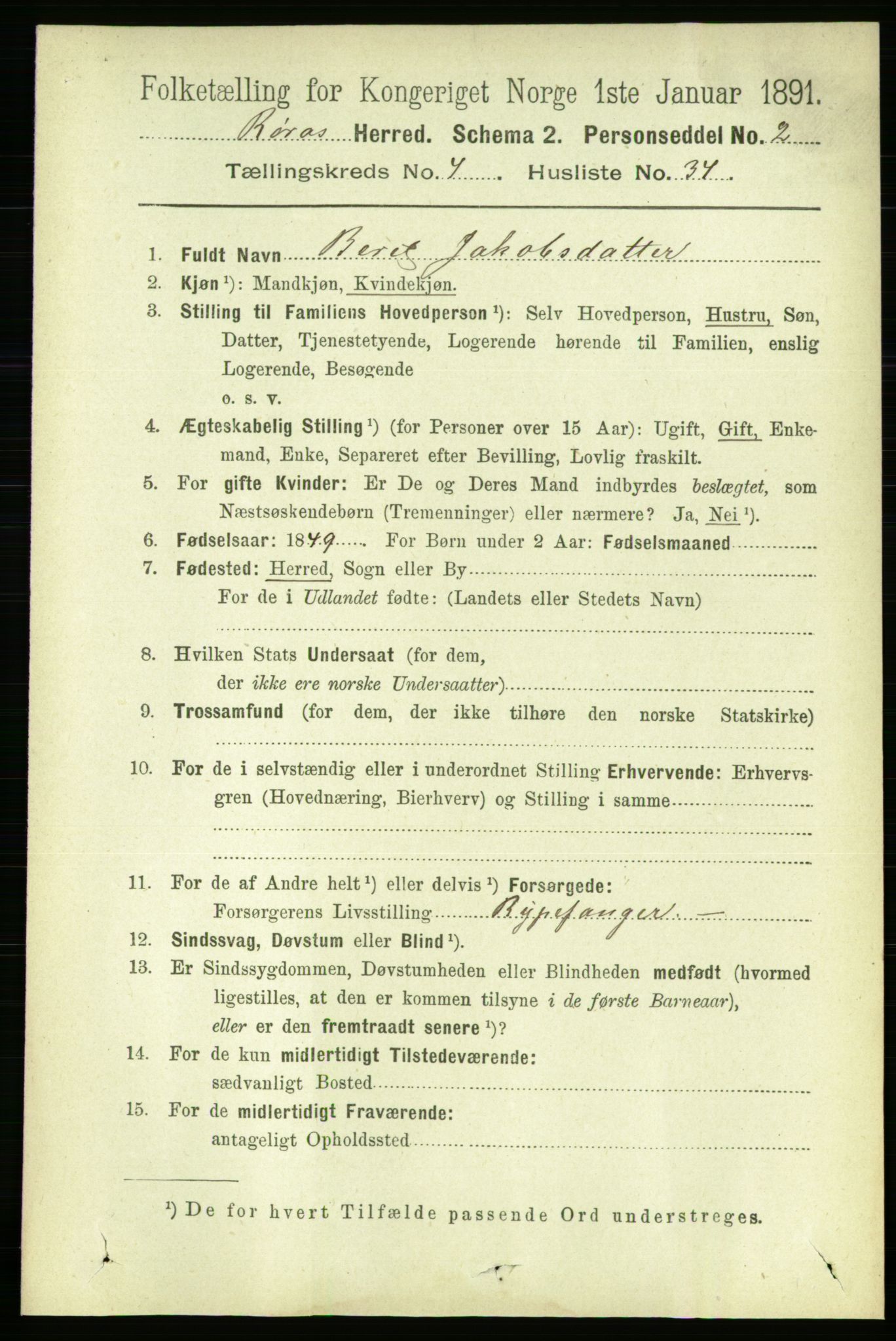 RA, 1891 census for 1640 Røros, 1891, p. 994