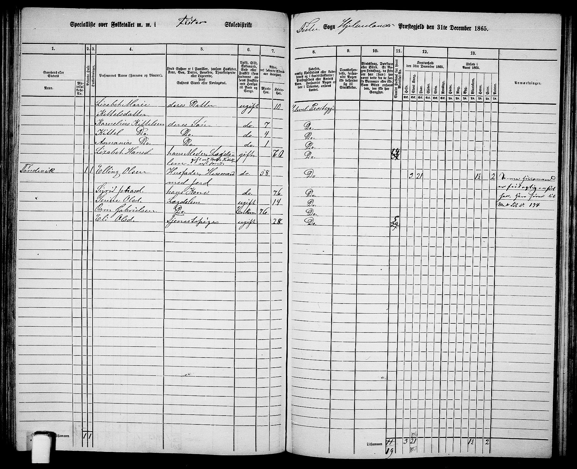 RA, 1865 census for Hjelmeland, 1865, p. 118