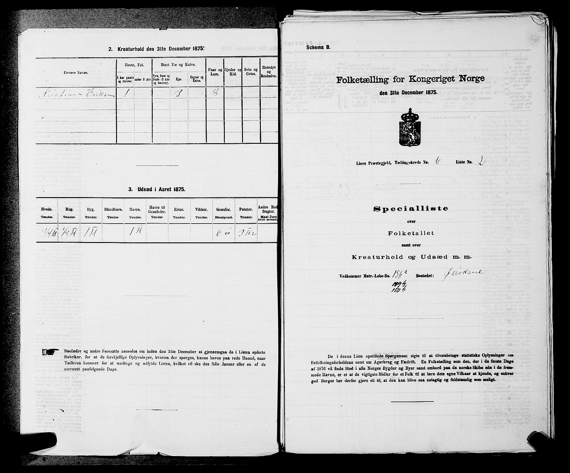 SAKO, 1875 census for 0626P Lier, 1875, p. 941