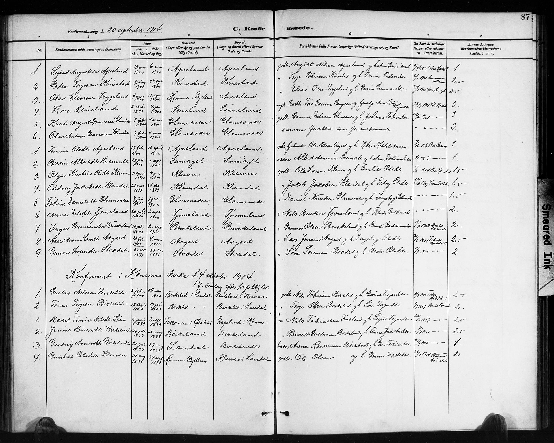 Holum sokneprestkontor, AV/SAK-1111-0022/F/Fb/Fbb/L0004: Parish register (copy) no. B 4, 1899-1920, p. 87