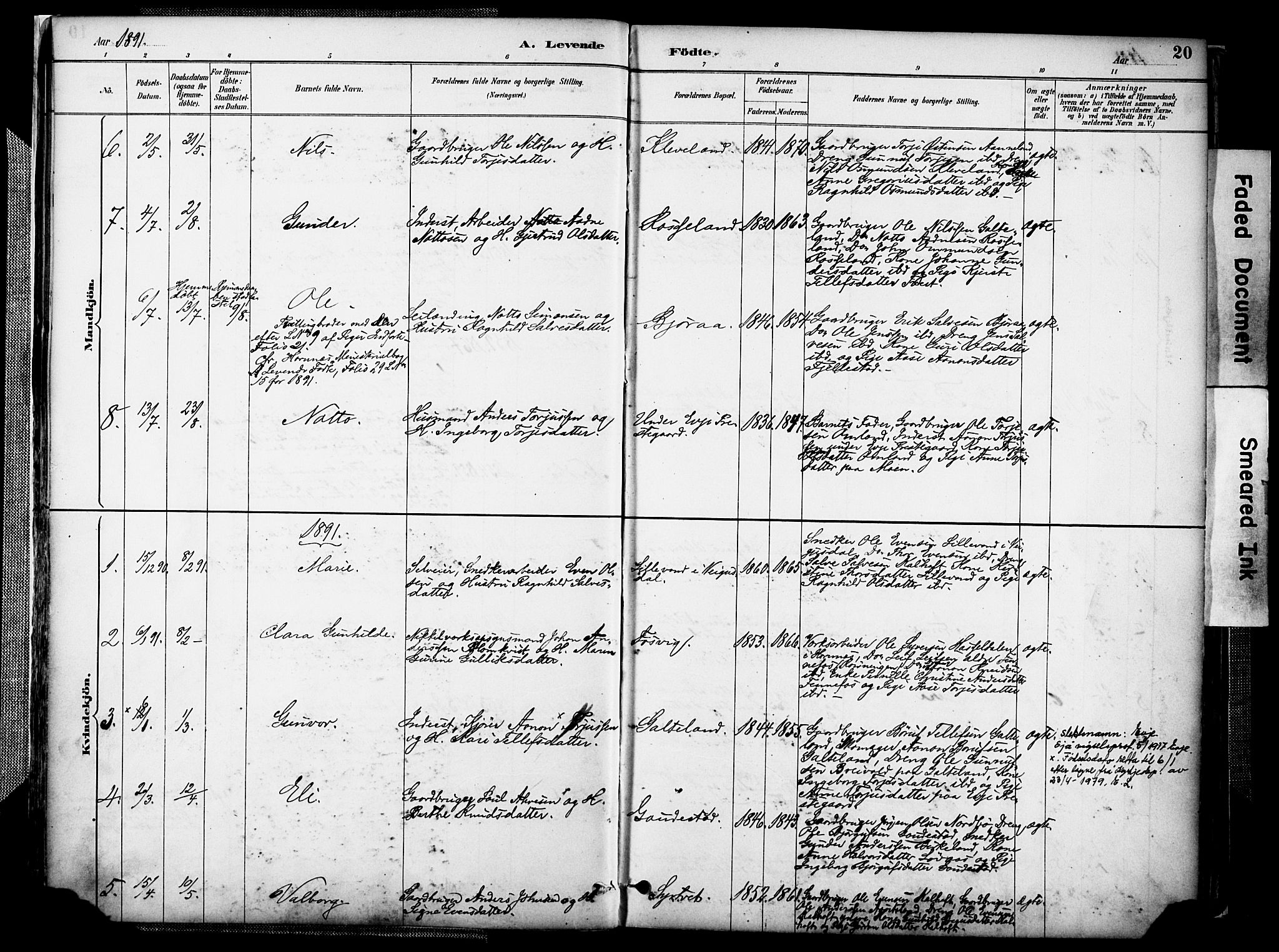 Evje sokneprestkontor, AV/SAK-1111-0008/F/Fa/Faa/L0007: Parish register (official) no. A 7, 1884-1909, p. 20