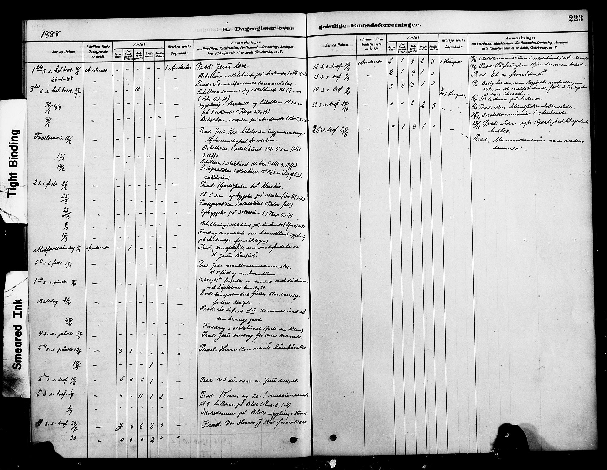 Ministerialprotokoller, klokkerbøker og fødselsregistre - Nordland, AV/SAT-A-1459/899/L1436: Parish register (official) no. 899A04, 1881-1896, p. 223