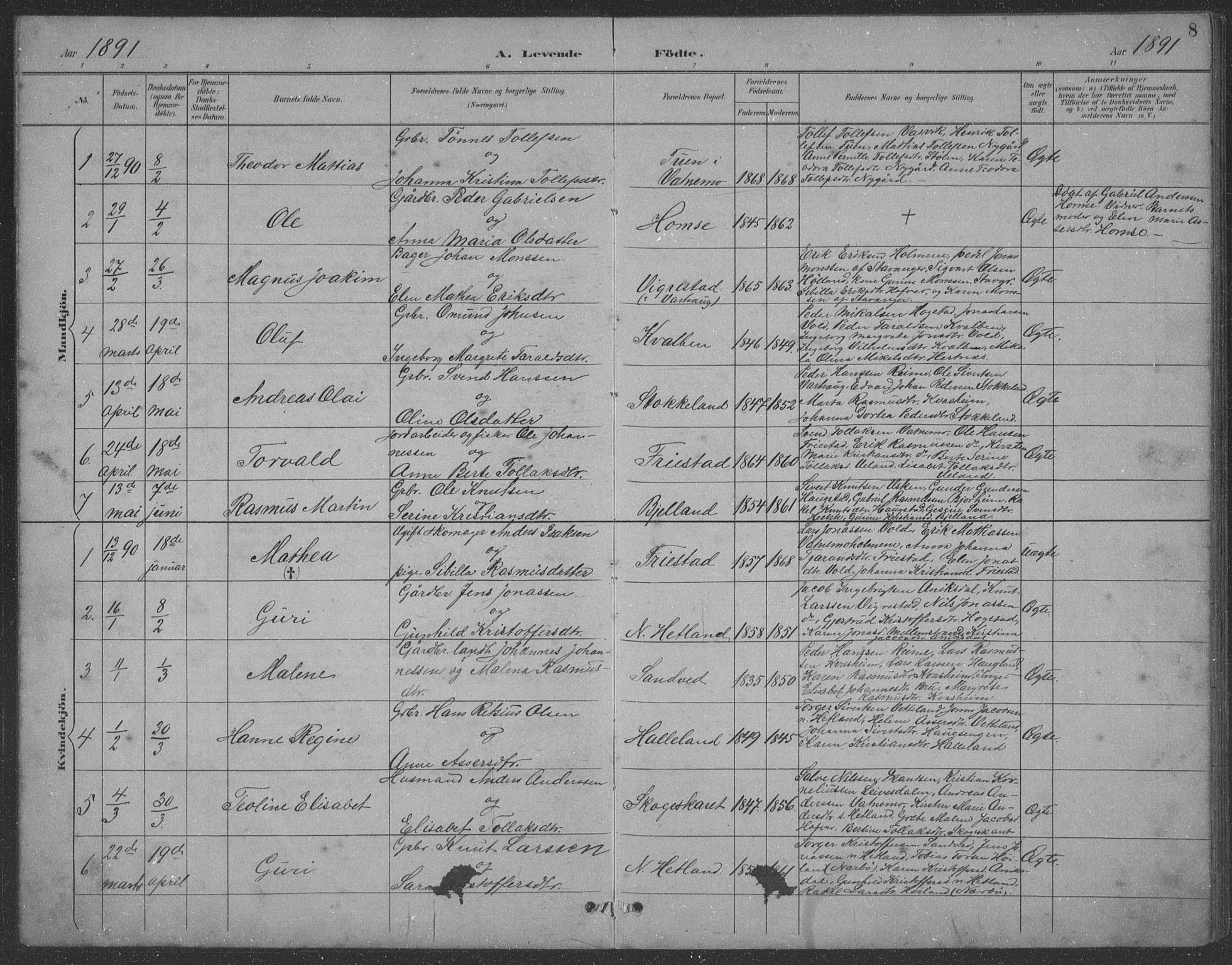 Eigersund sokneprestkontor, SAST/A-101807/S09: Parish register (copy) no. B 21, 1890-1915, p. 8
