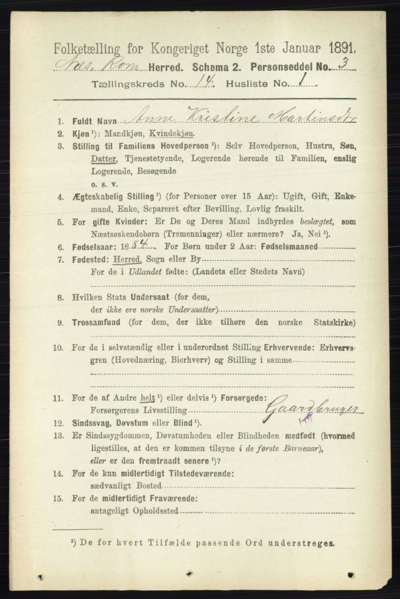 RA, 1891 census for 0236 Nes, 1891, p. 8505