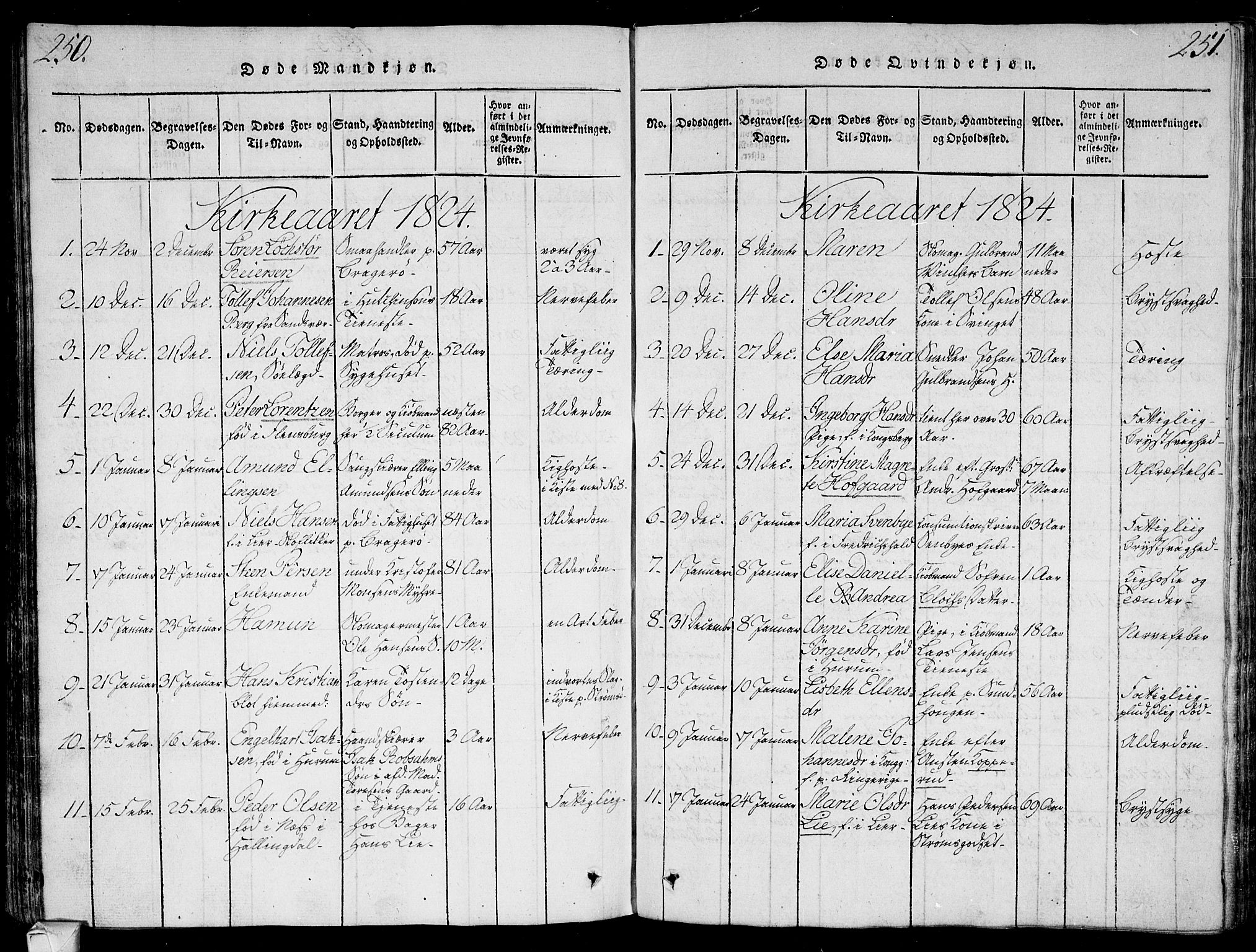 Bragernes kirkebøker, AV/SAKO-A-6/G/Ga/L0001: Parish register (copy) no. 1, 1815-1829, p. 250-251