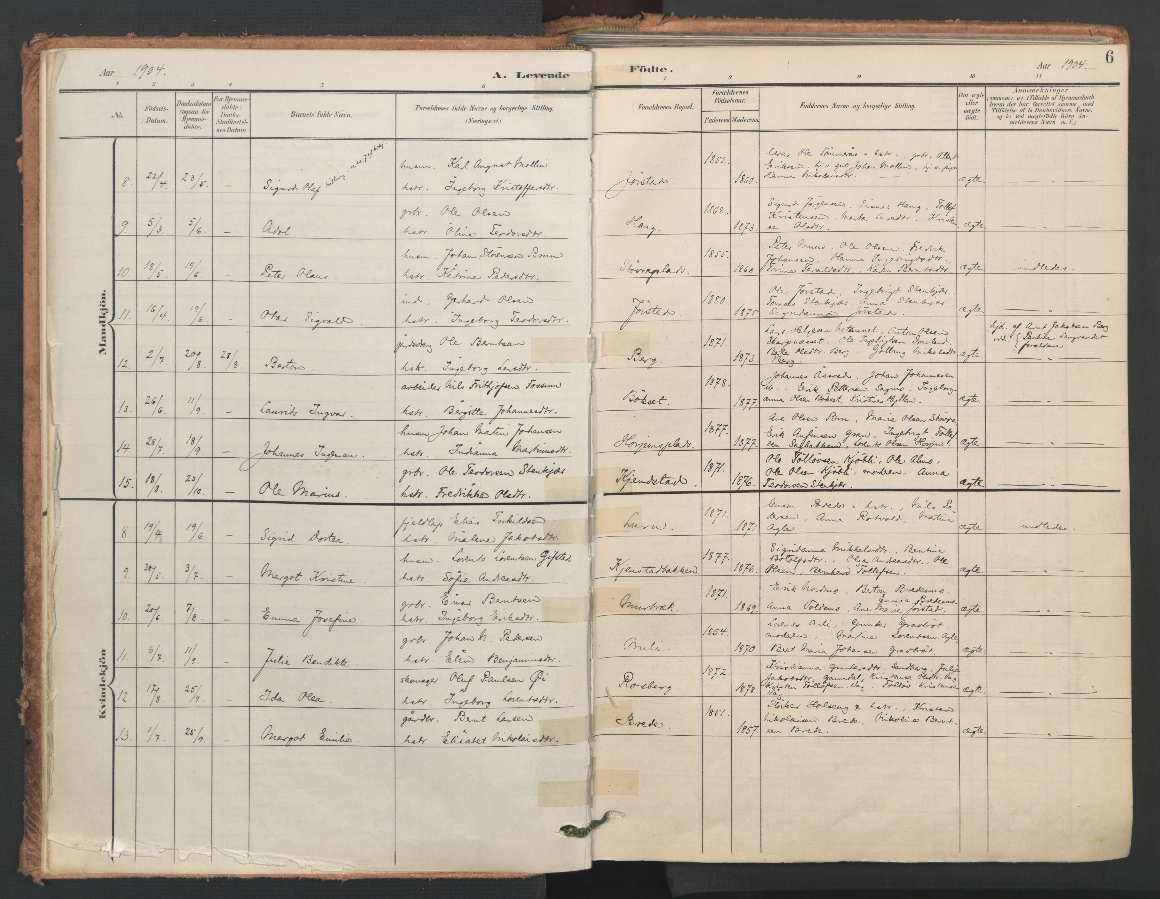 Ministerialprotokoller, klokkerbøker og fødselsregistre - Nord-Trøndelag, SAT/A-1458/749/L0477: Parish register (official) no. 749A11, 1902-1927, p. 6
