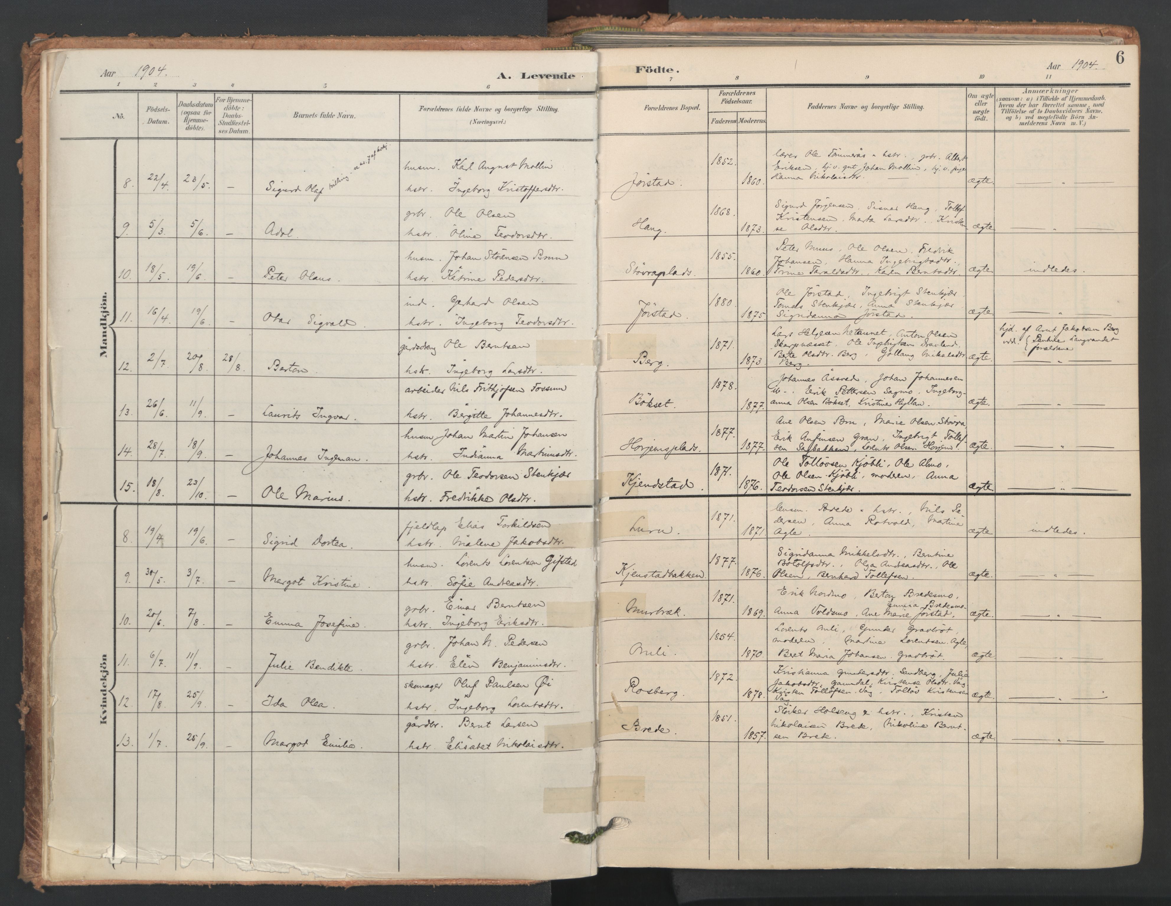 Ministerialprotokoller, klokkerbøker og fødselsregistre - Nord-Trøndelag, AV/SAT-A-1458/749/L0477: Parish register (official) no. 749A11, 1902-1927, p. 6