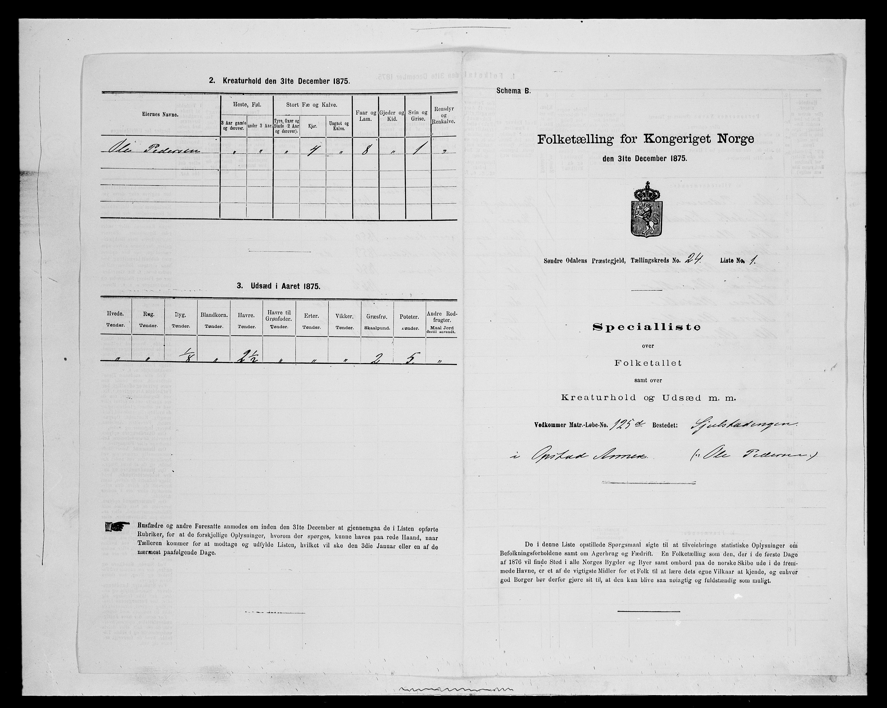 SAH, 1875 census for 0419P Sør-Odal, 1875, p. 2021