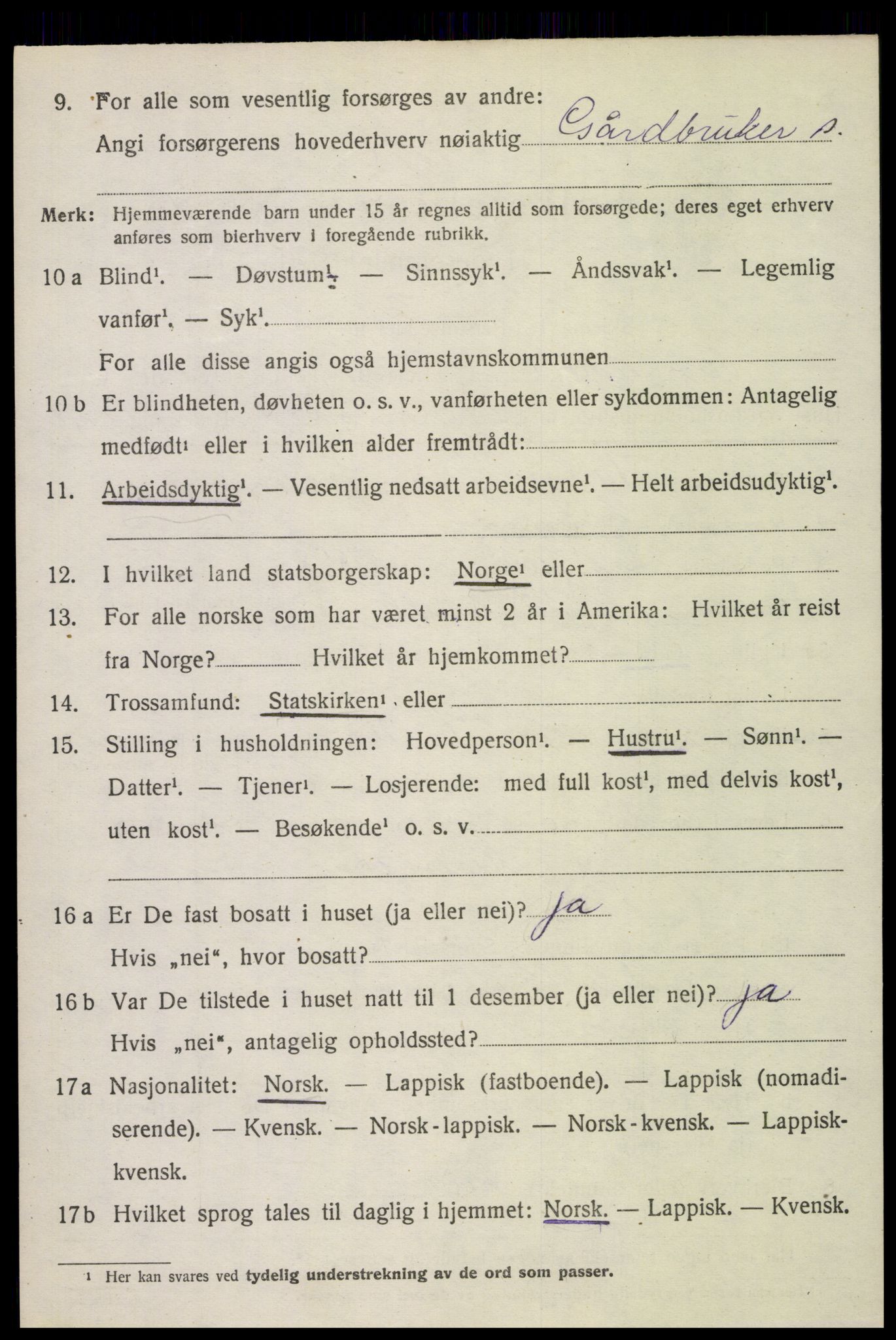 SAT, 1920 census for Bø, 1920, p. 2303