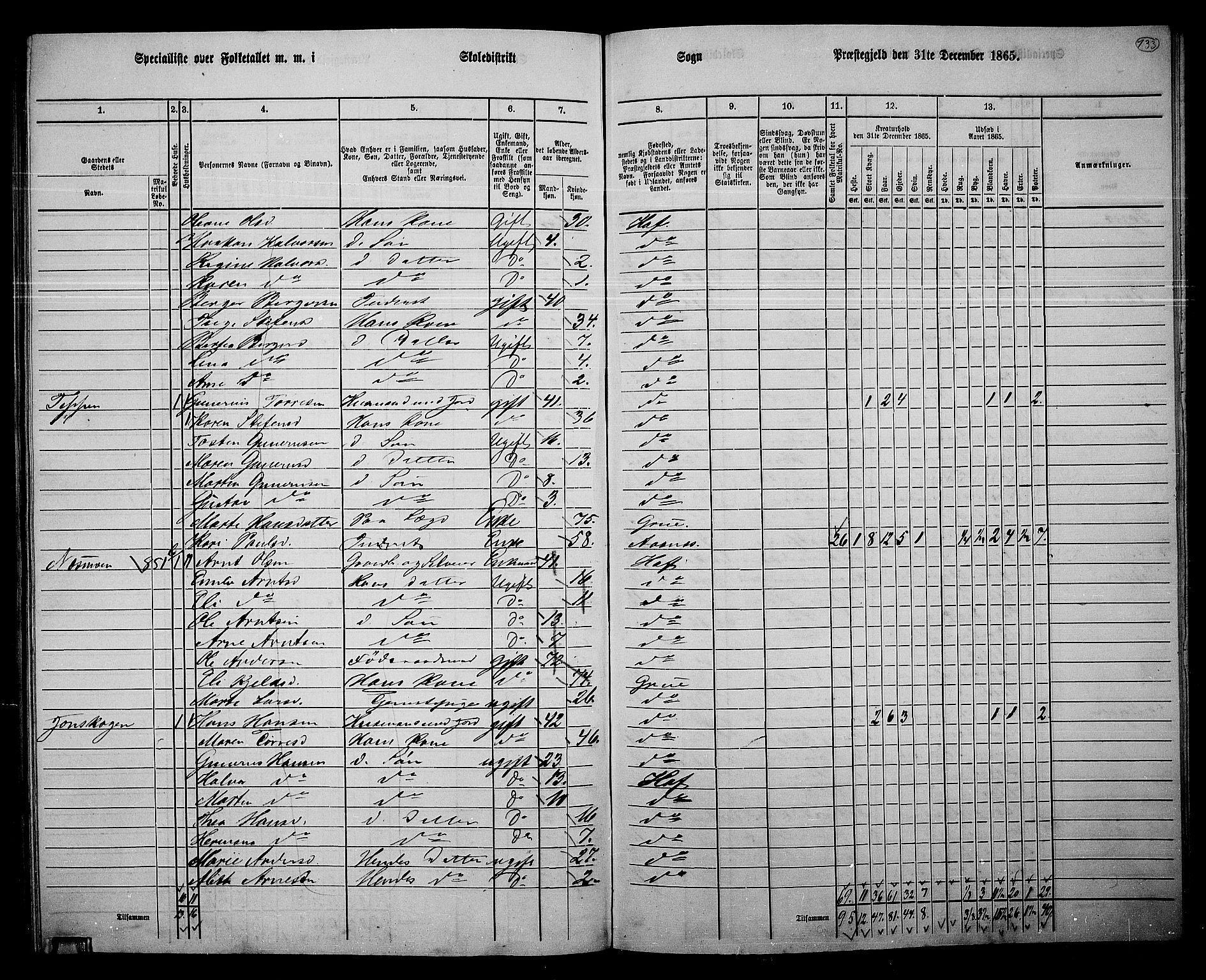 RA, 1865 census for Hof, 1865, p. 125